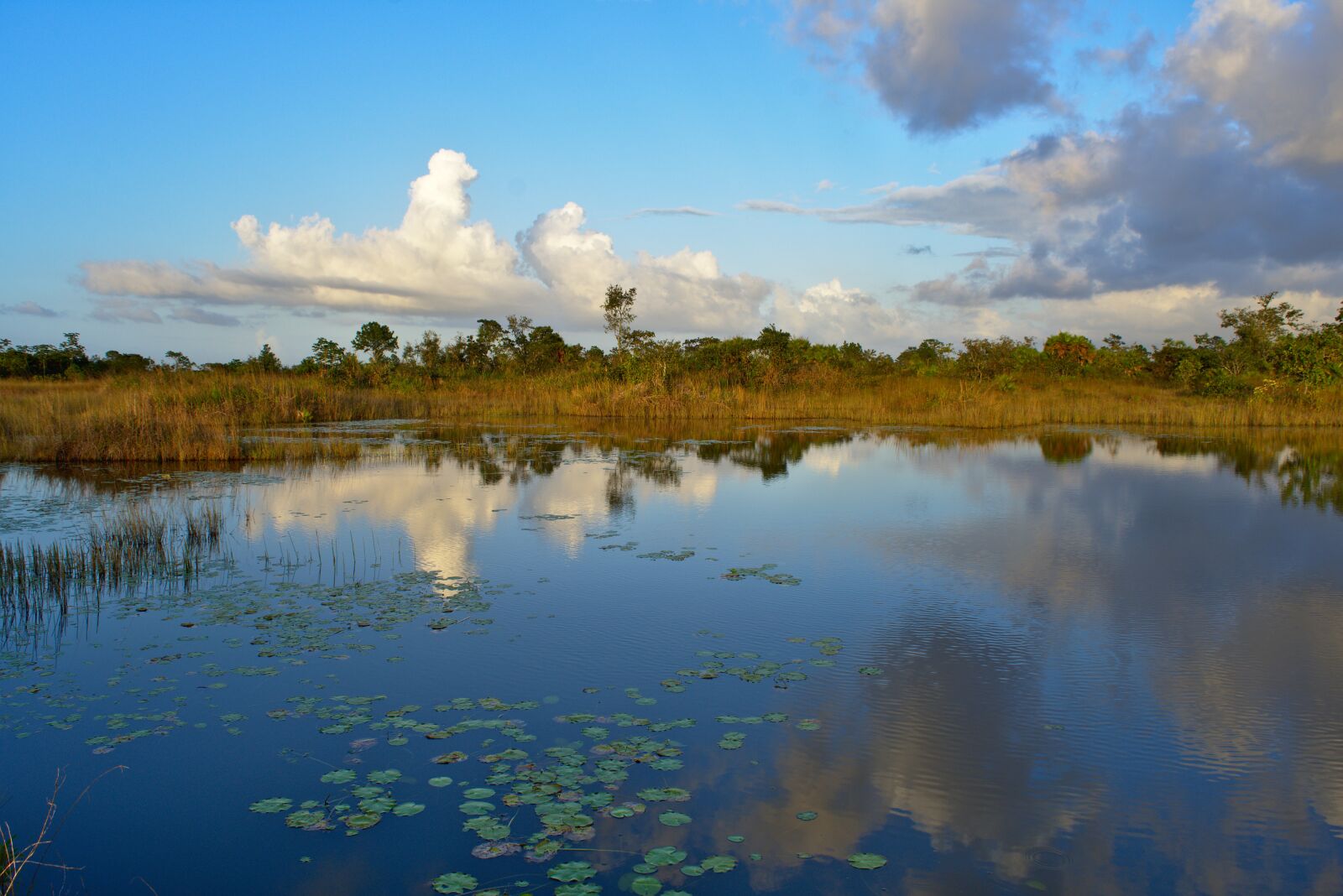 Nikon D7200 sample photo. Reflection, water, nature photography