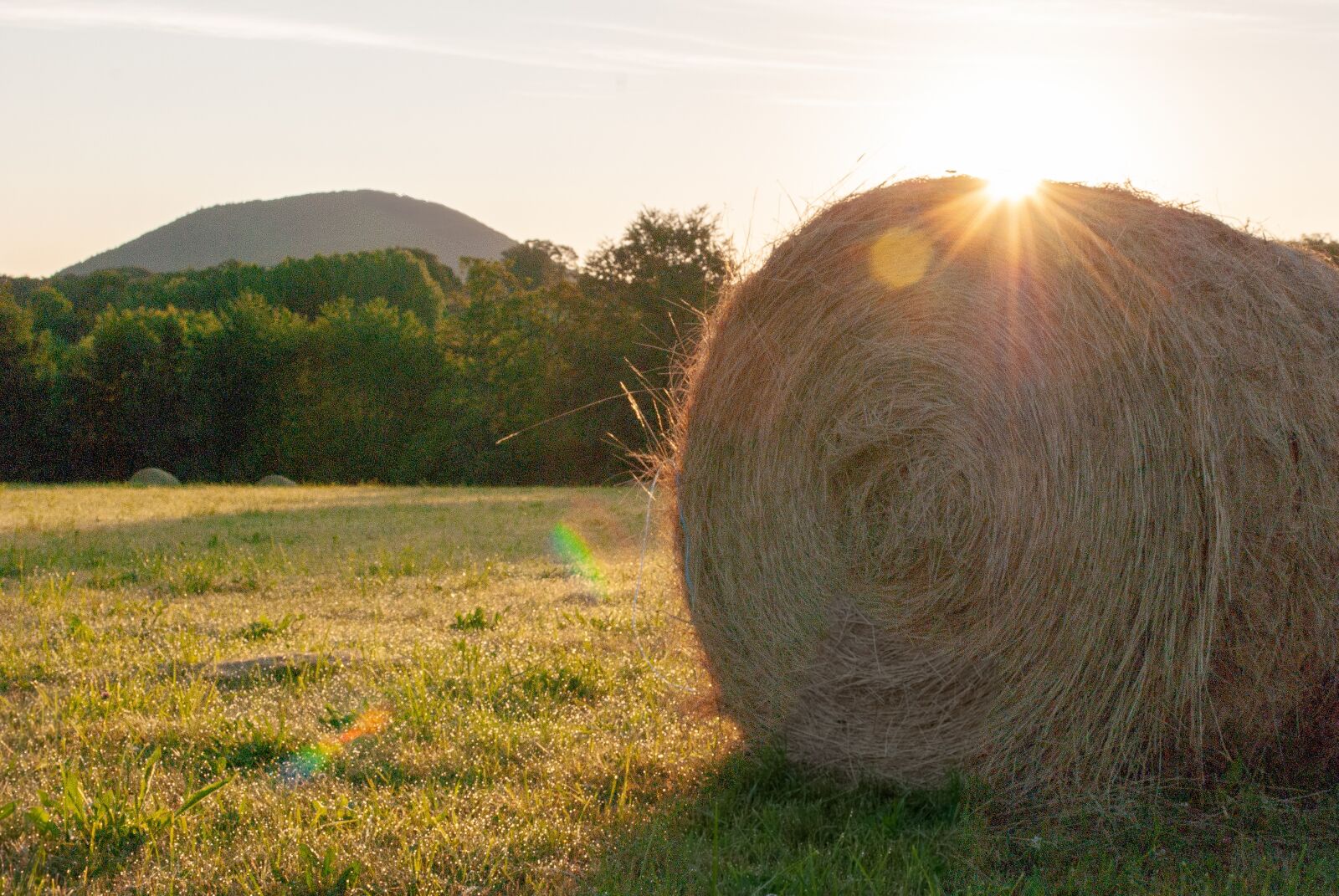 Nikon D80 sample photo. Fields, field, prairie photography
