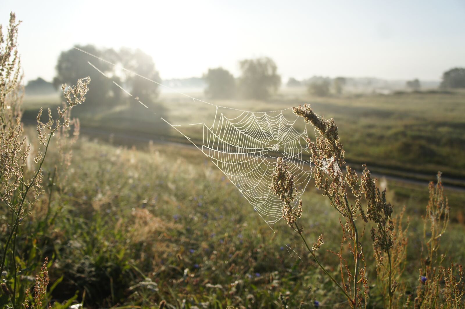 Sony Alpha NEX-3 + Sony E 18-55mm F3.5-5.6 OSS sample photo. Morgenstimmung, lower oder valley photography
