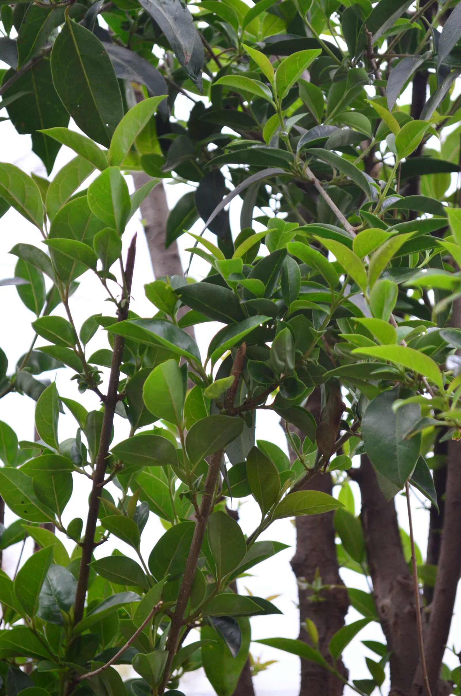 Nikon D5100 sample photo. People, nature, landscape photography