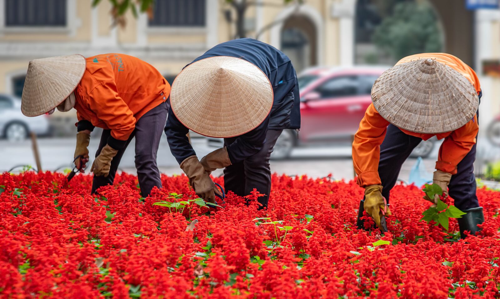 Nikon D810 sample photo. Vietnam, hanoi, asia photography