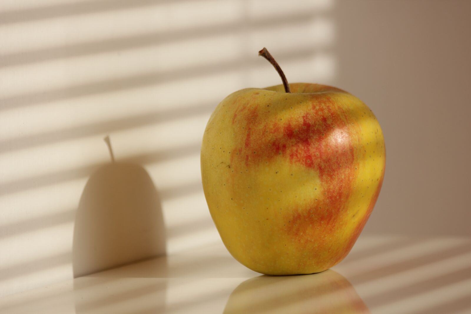 Canon EOS 550D (EOS Rebel T2i / EOS Kiss X4) sample photo. Apple, shadow, apples photography