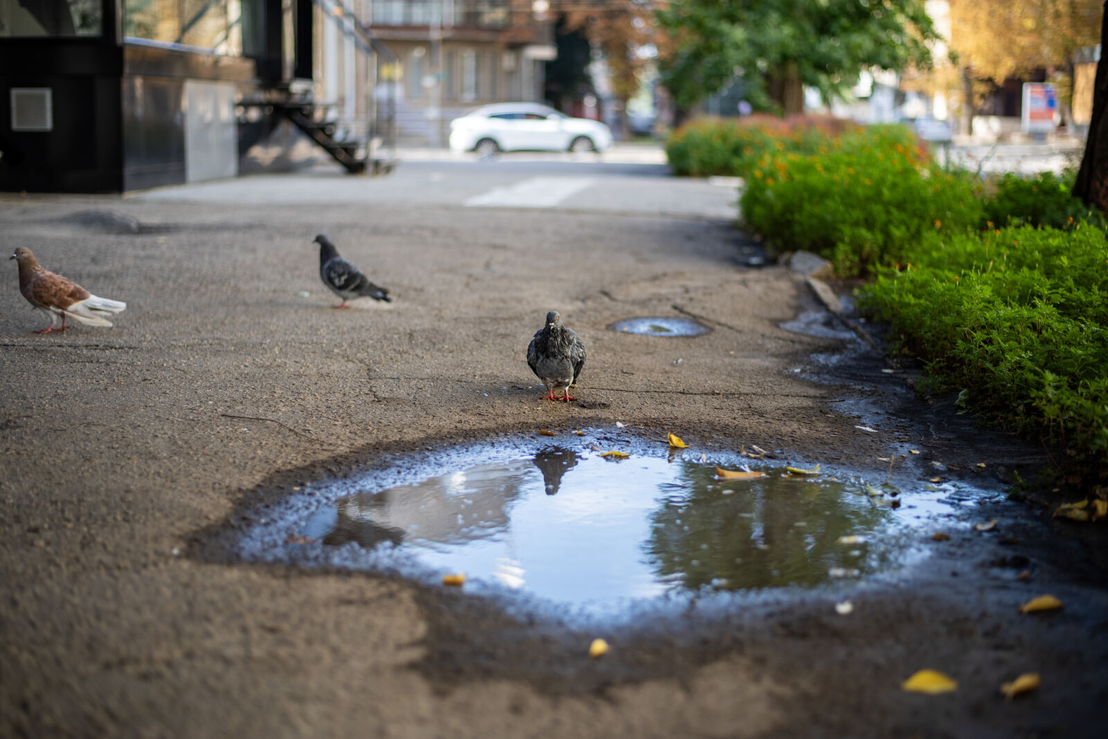 Nikon D750 + Nikon AF-S Nikkor 50mm F1.8G sample photo