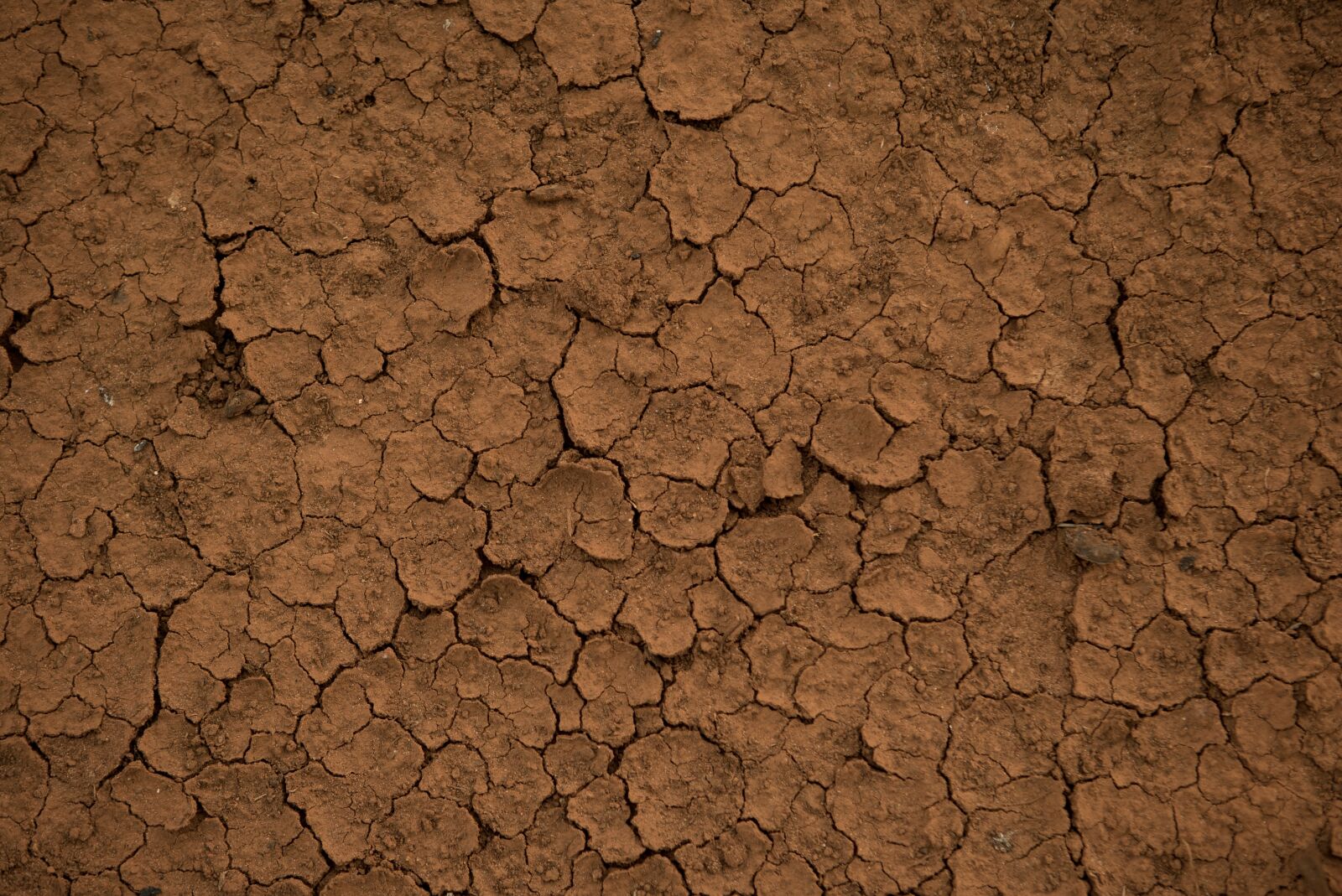 Canon EF 24-70mm F2.8L USM sample photo. Earth, texture, mud photography