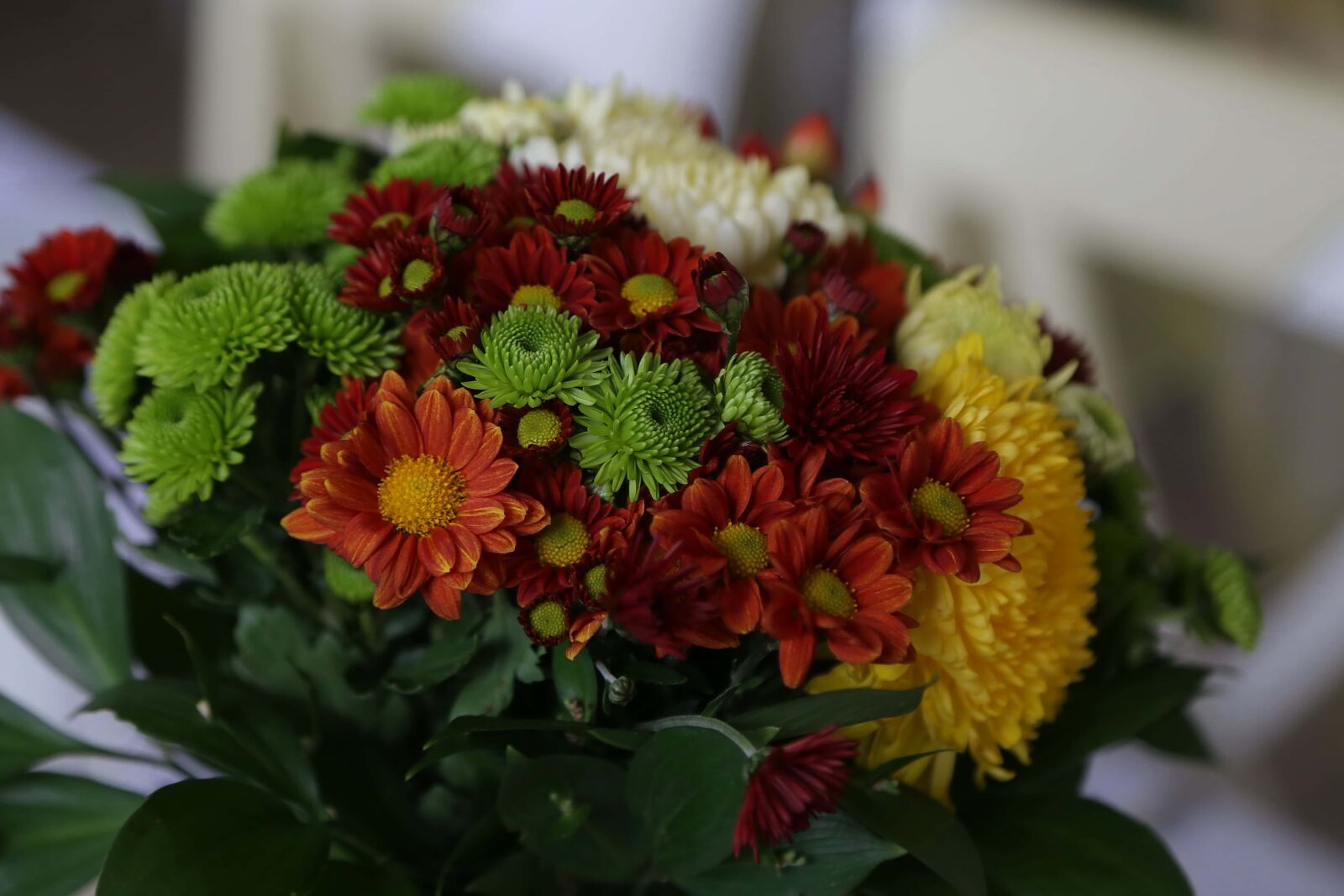 Canon EOS 6D + Canon EF 24-105mm F4L IS USM sample photo. Bouquet, chrysanthemum, close-up, colorful photography