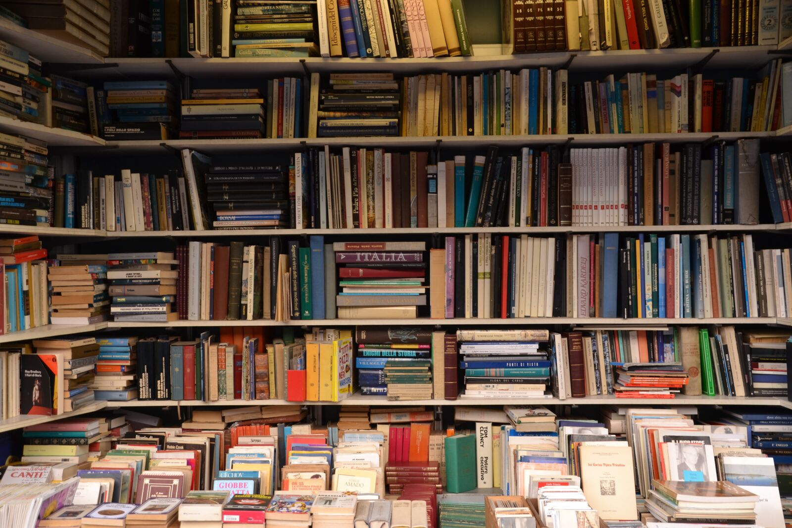 Nikon D3100 sample photo. Books, bookshop, read photography