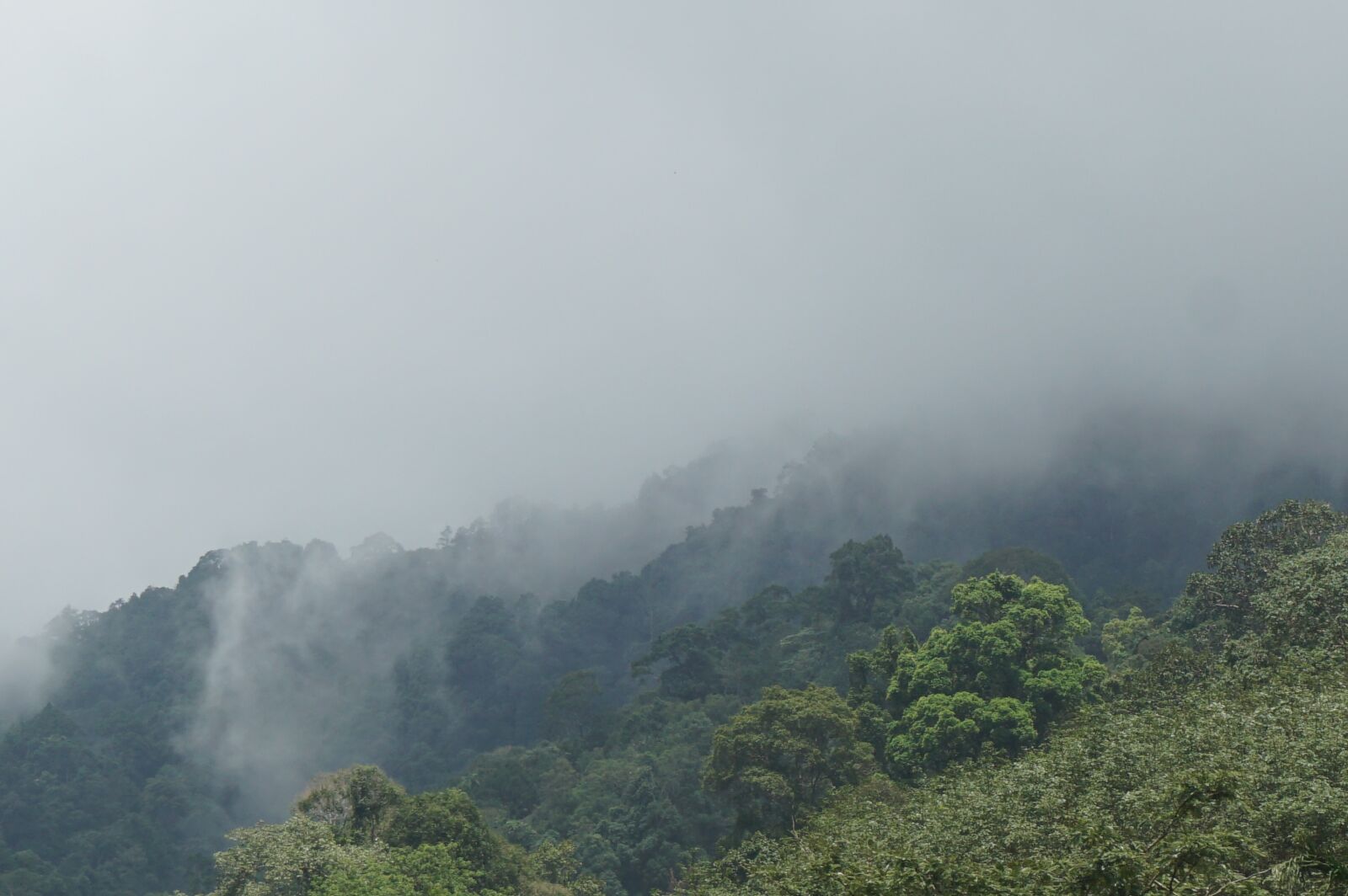 Sony E 16-50mm F3.5-5.6 PZ OSS sample photo. Mountains, the forests, nature photography