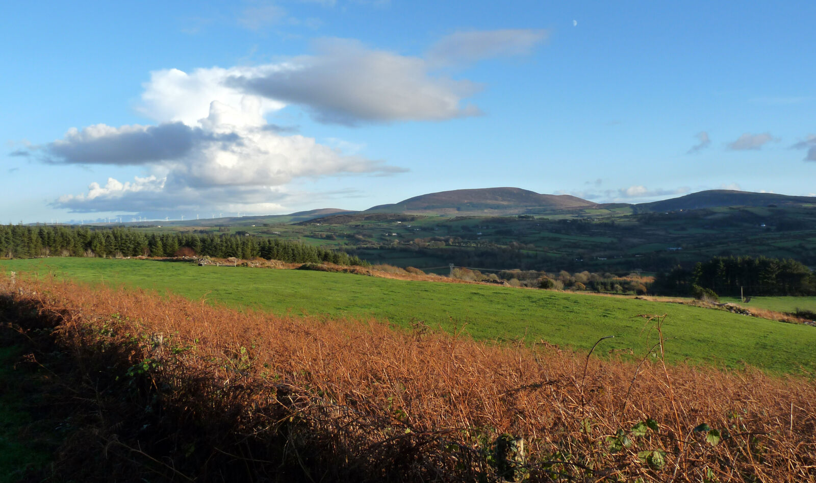 Panasonic Lumix DMC-FZ28 sample photo. Ireland, kerry, nature photography