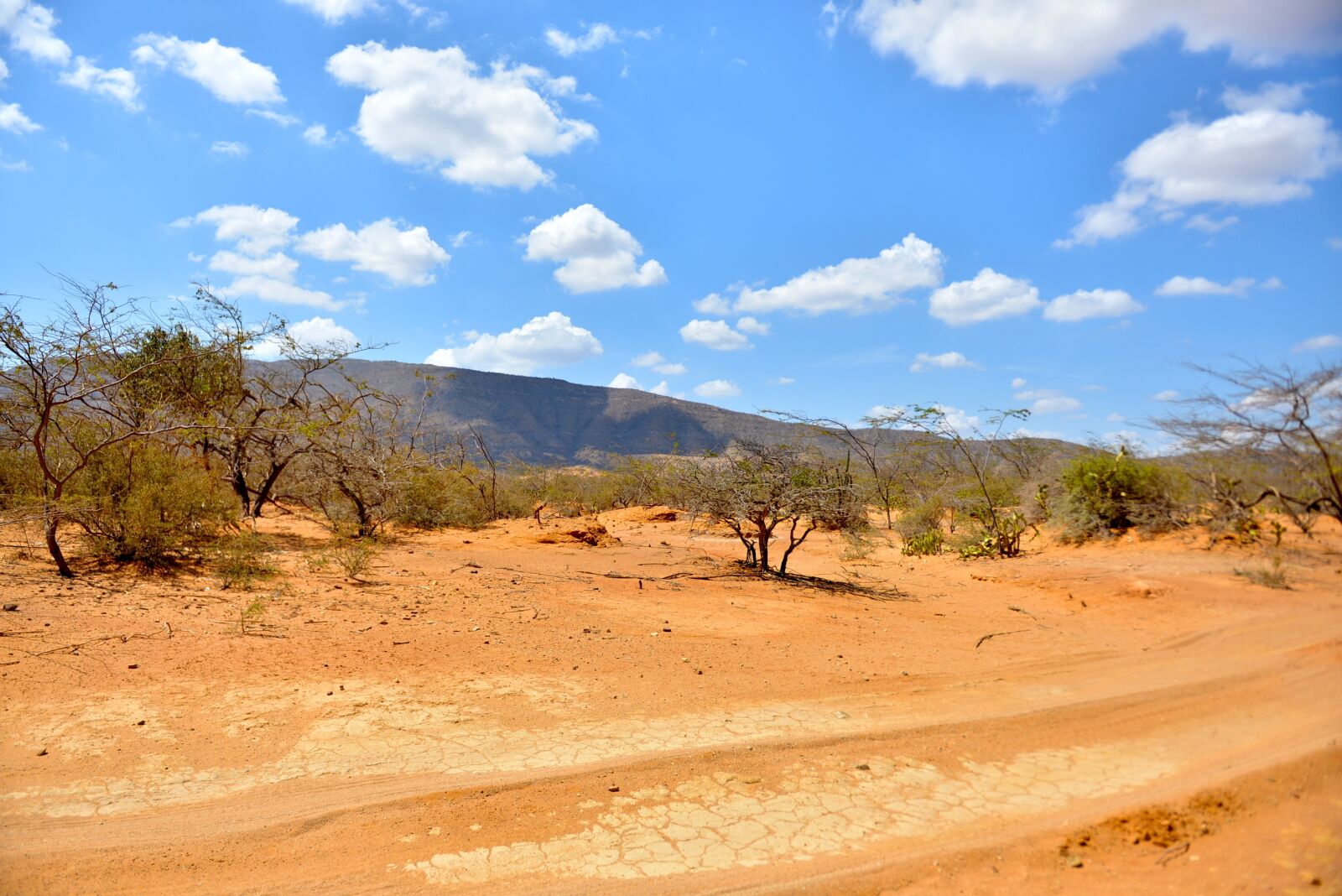 Nikon D600 sample photo. Desert, house, landscape photography