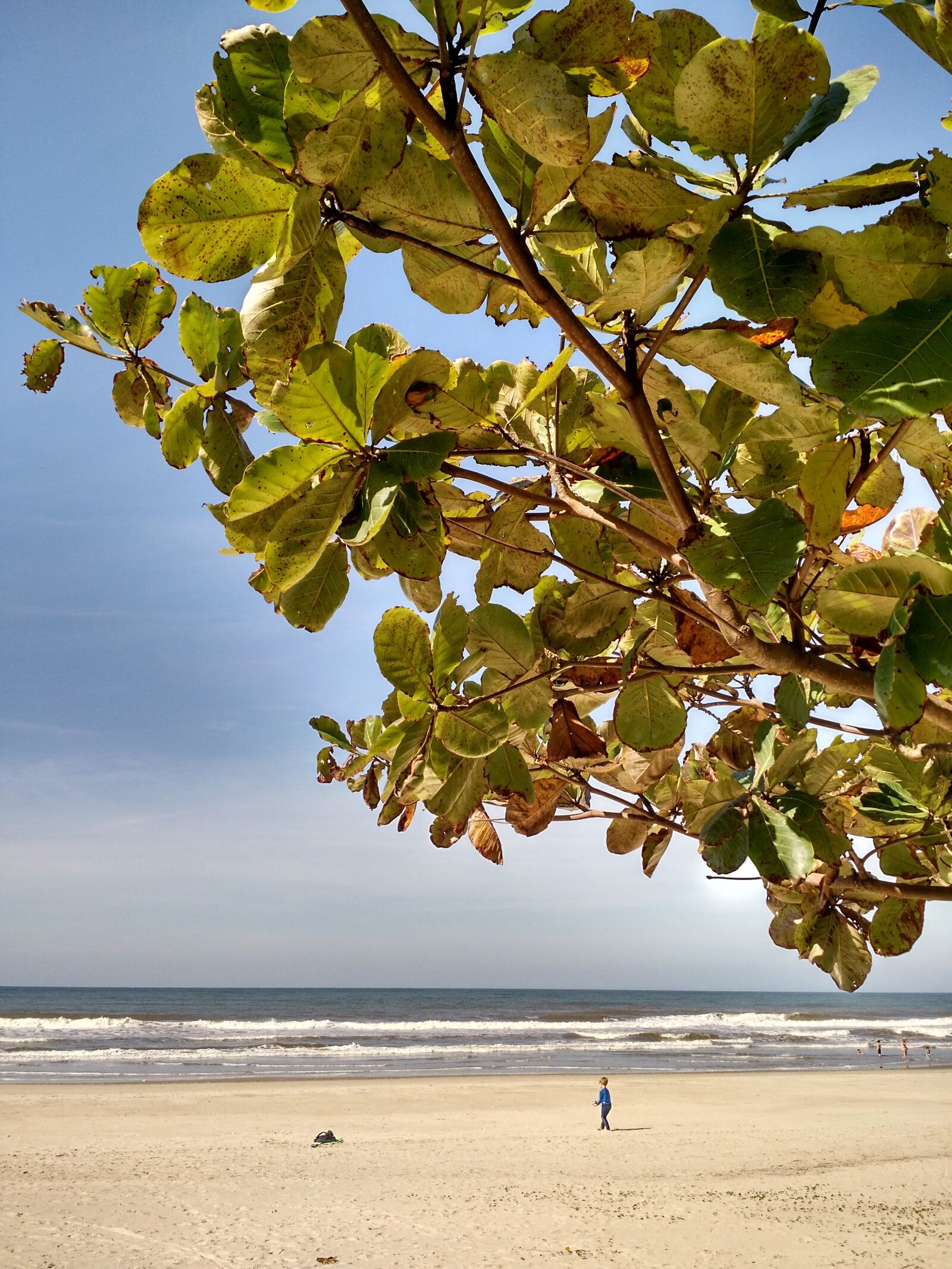 Motorola Moto X (2nd Gen) sample photo. Beach, nature, mar photography