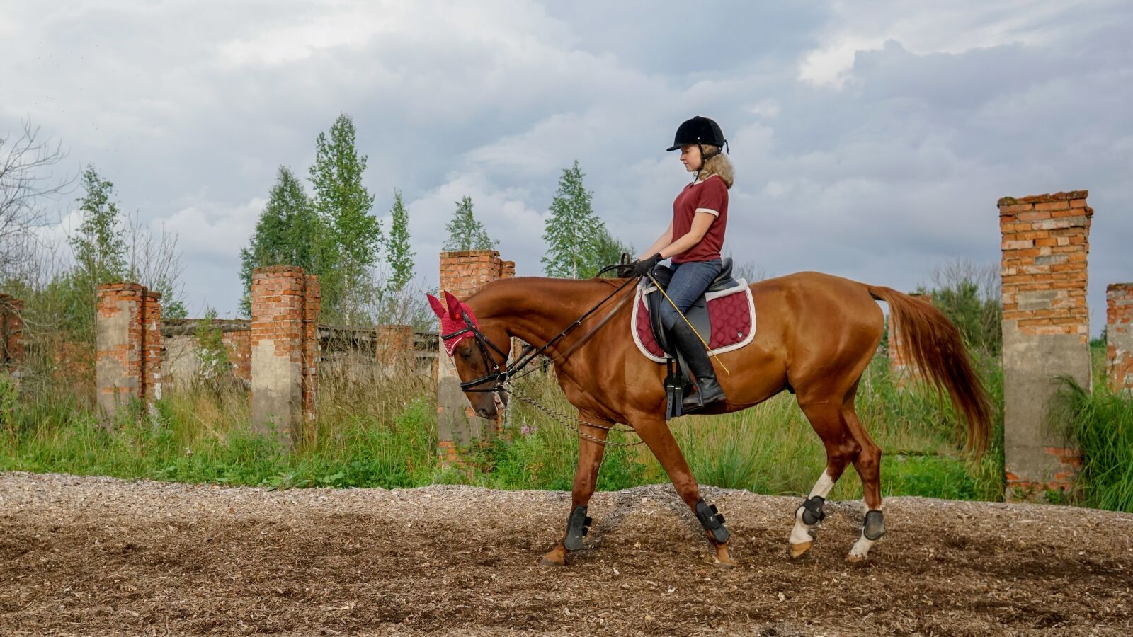 Sony a6500 + Sigma 19mm F2.8 EX DN sample photo. Horse, rider, ride photography