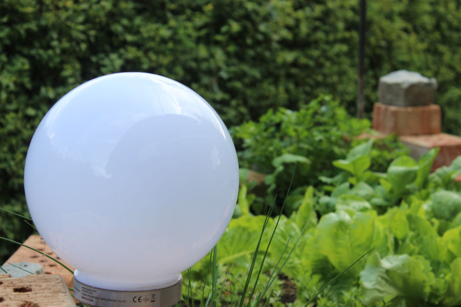 Canon EOS 600D (Rebel EOS T3i / EOS Kiss X5) sample photo. Lamp, nature, plant photography
