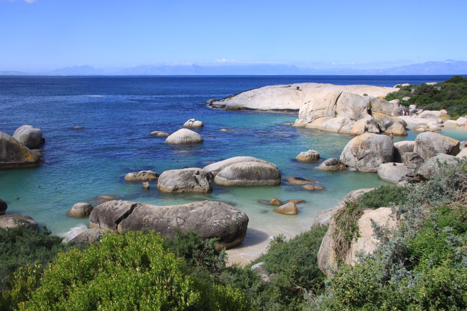 Canon EOS 50D sample photo. Bolder beach, cape town photography