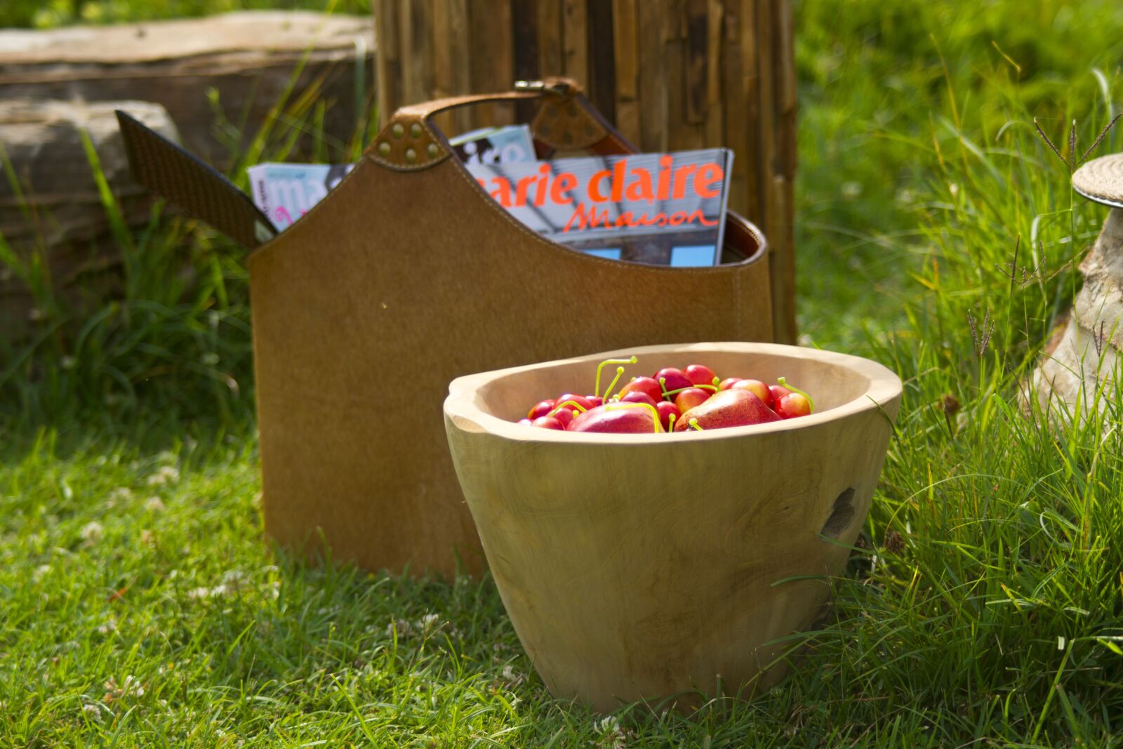 Sony Alpha DSLR-A850 sample photo. Garden, apple, magazine photography
