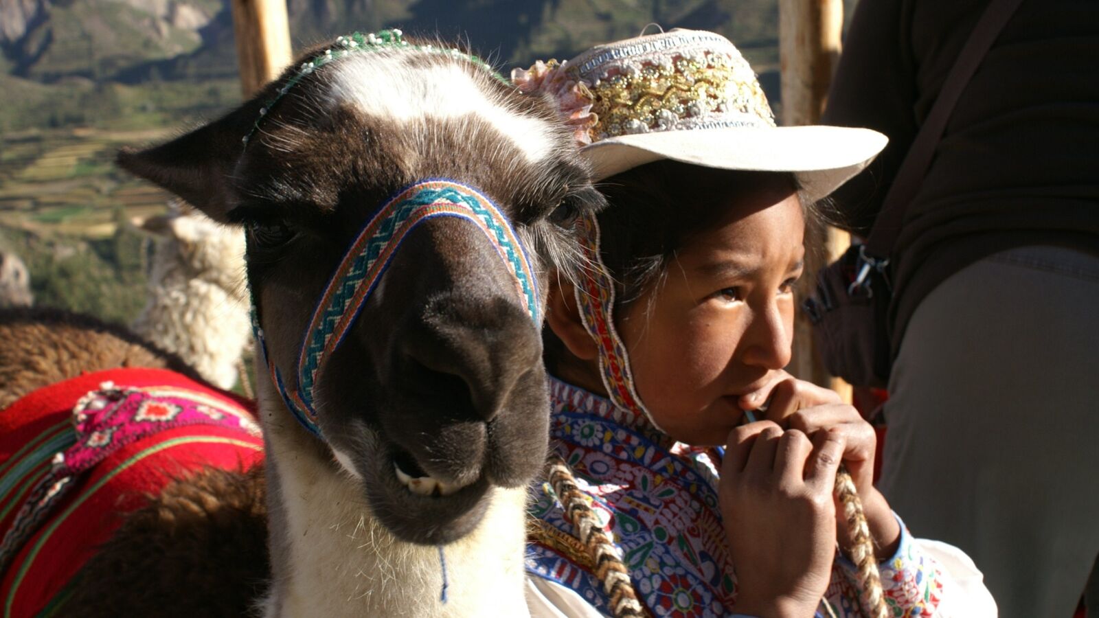 KONICA MINOLTA DYNAX 7D sample photo. Child, lama, peru photography