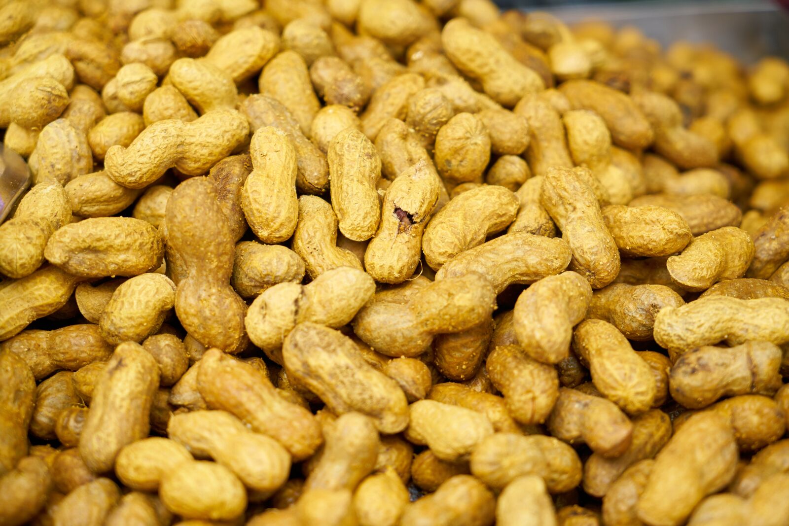 Sony a7R II sample photo. Sunday, peanut, product photography