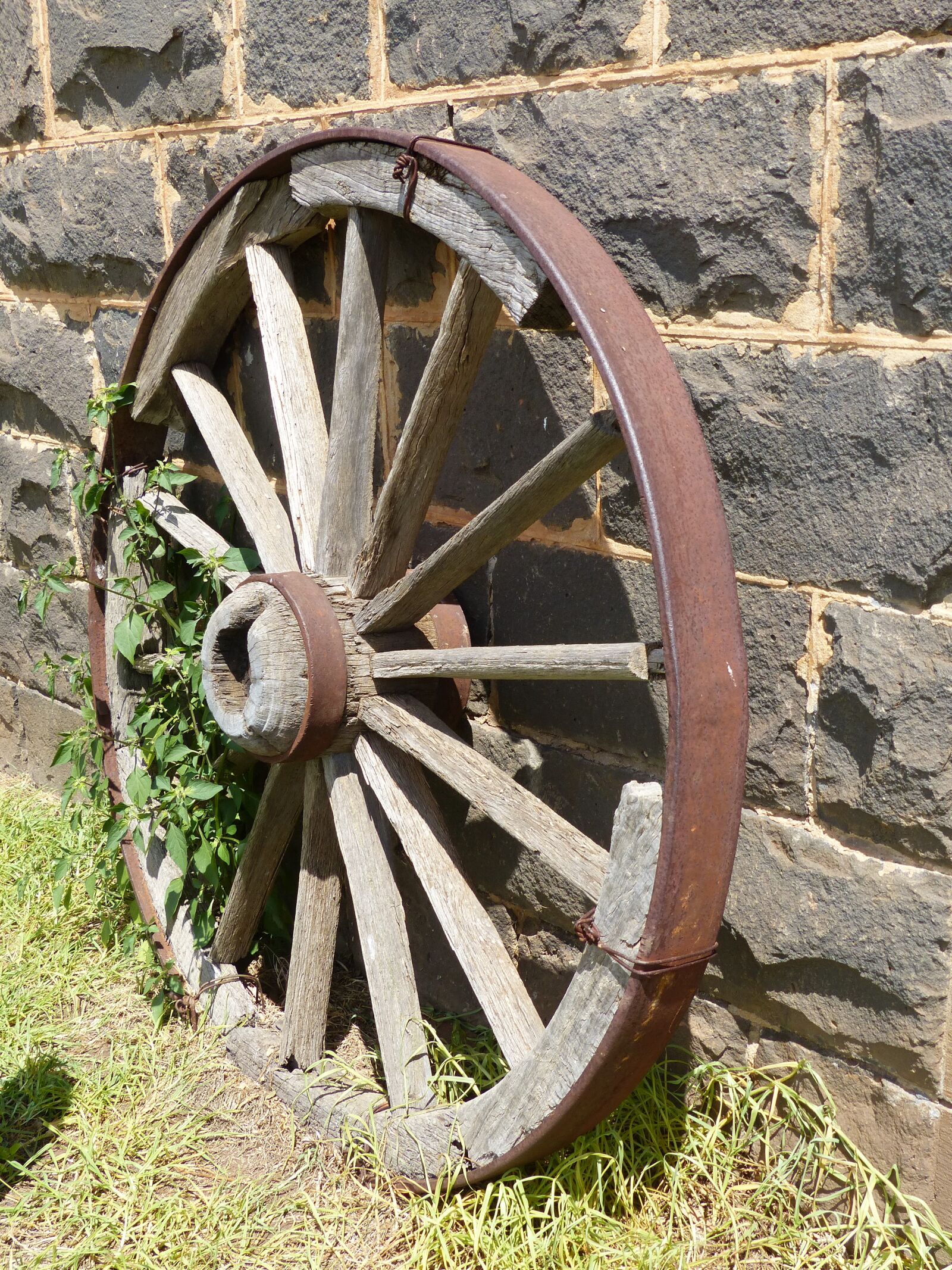 Panasonic Lumix DMC-FZ200 sample photo. Wagon wheel, antique, background photography