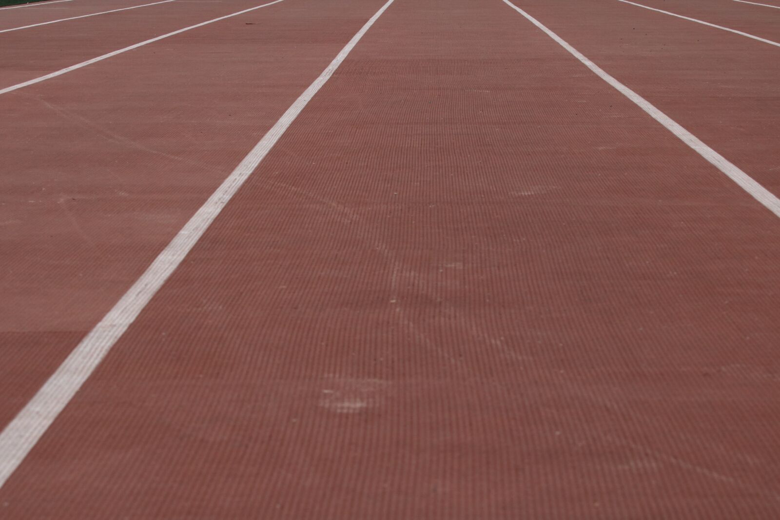 Canon EOS 750D (EOS Rebel T6i / EOS Kiss X8i) sample photo. Playground, track, athletics photography