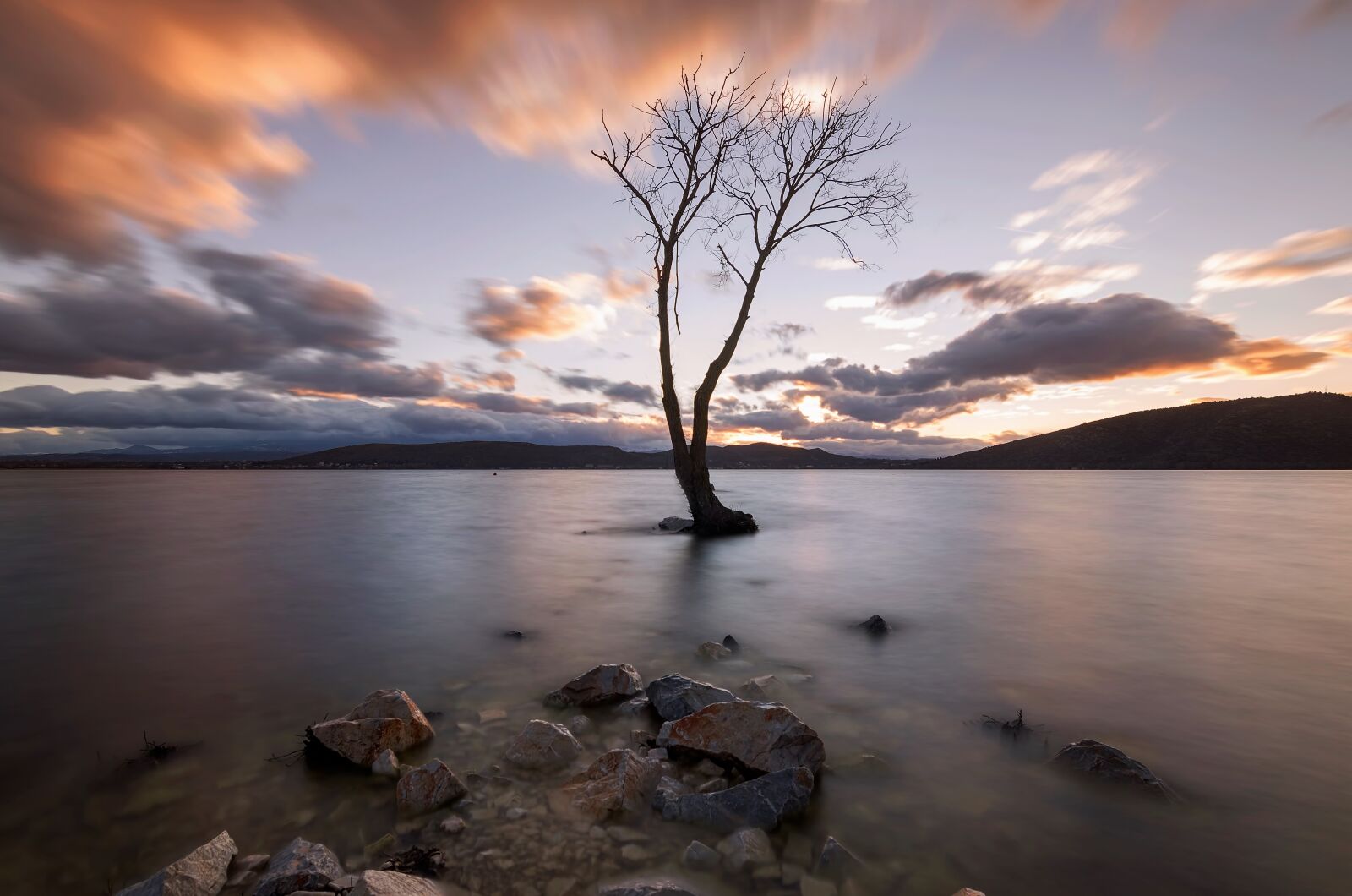 Tokina AT-X Pro 11-16mm F2.8 DX II sample photo. Tree, lake, water photography