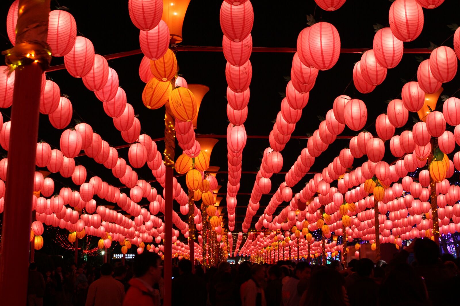 Canon EOS 7D sample photo. Lantern festival, taiwan, feb photography