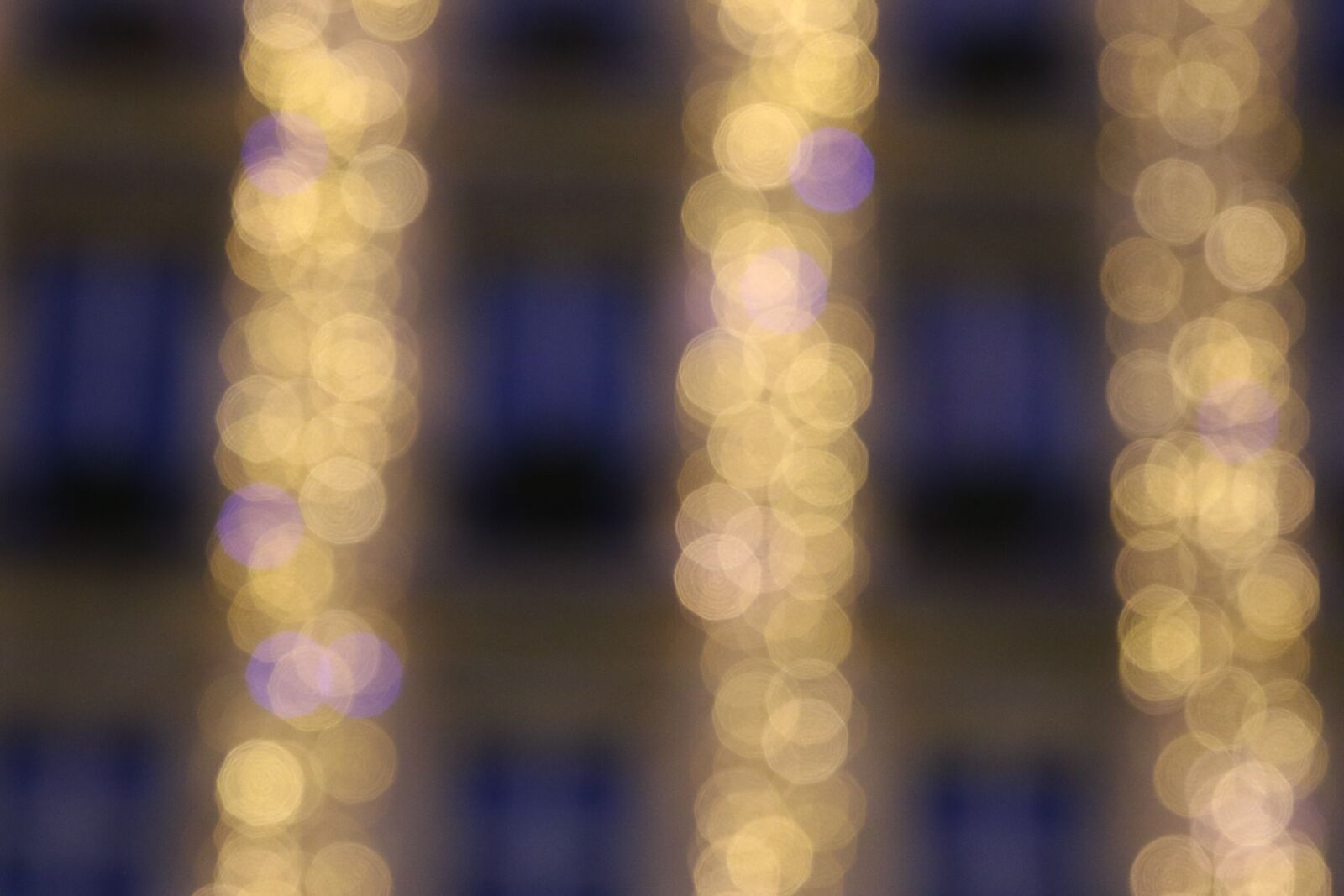 Canon EOS 7D Mark II sample photo. Lights, decoration, hotel photography