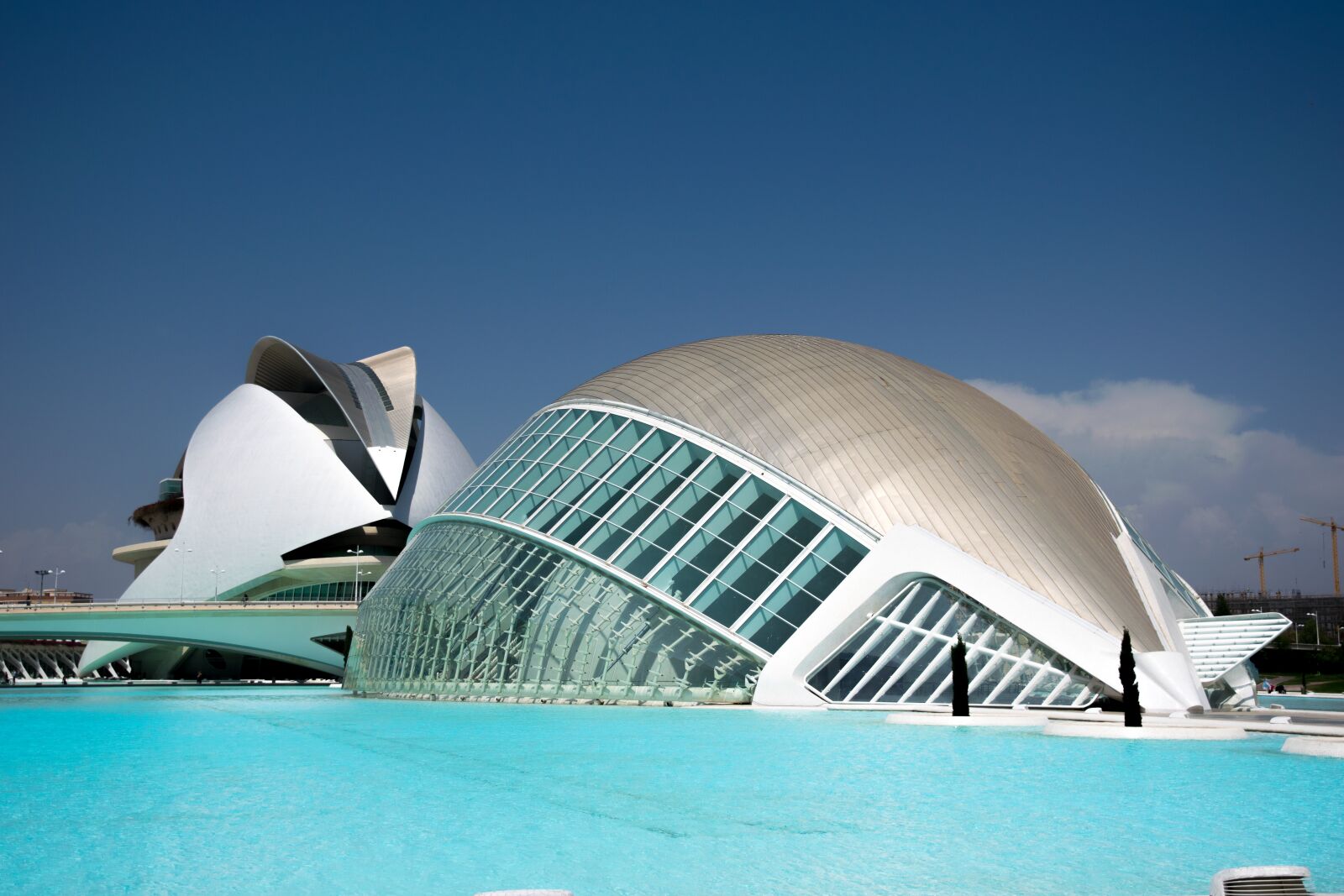 Nikon D5300 sample photo. Arts and sciences, calatrava photography