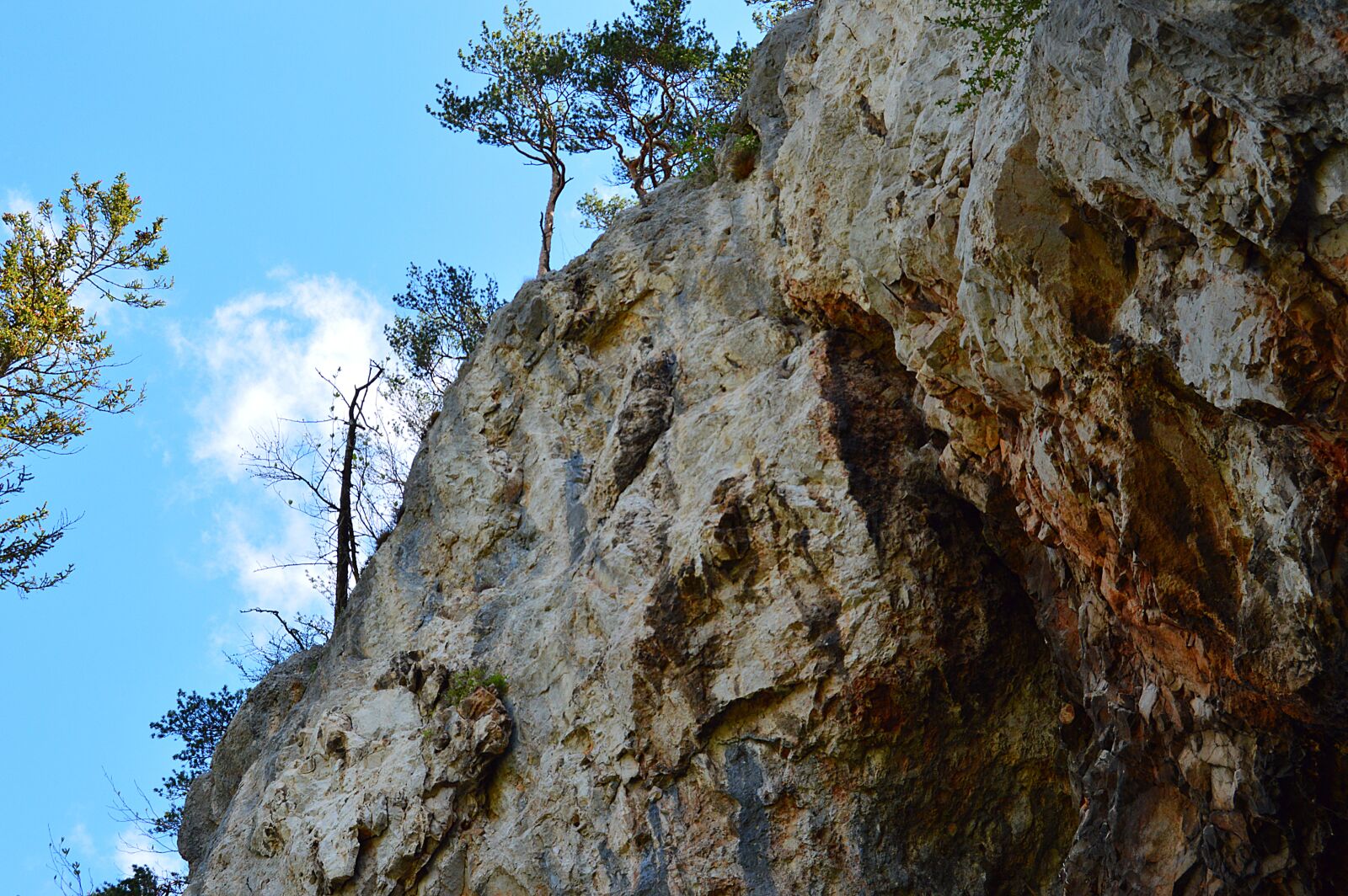 Nikon D3200 sample photo. Schwarzau, mountains, lower austria photography