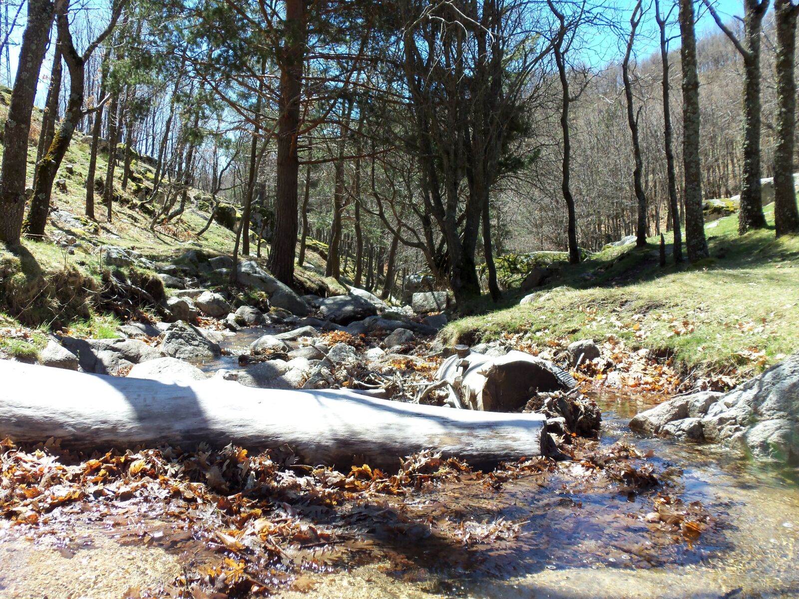 Kodak EASYSHARE M580 DIGITAL CAMERA sample photo. Landscape, nature, river photography