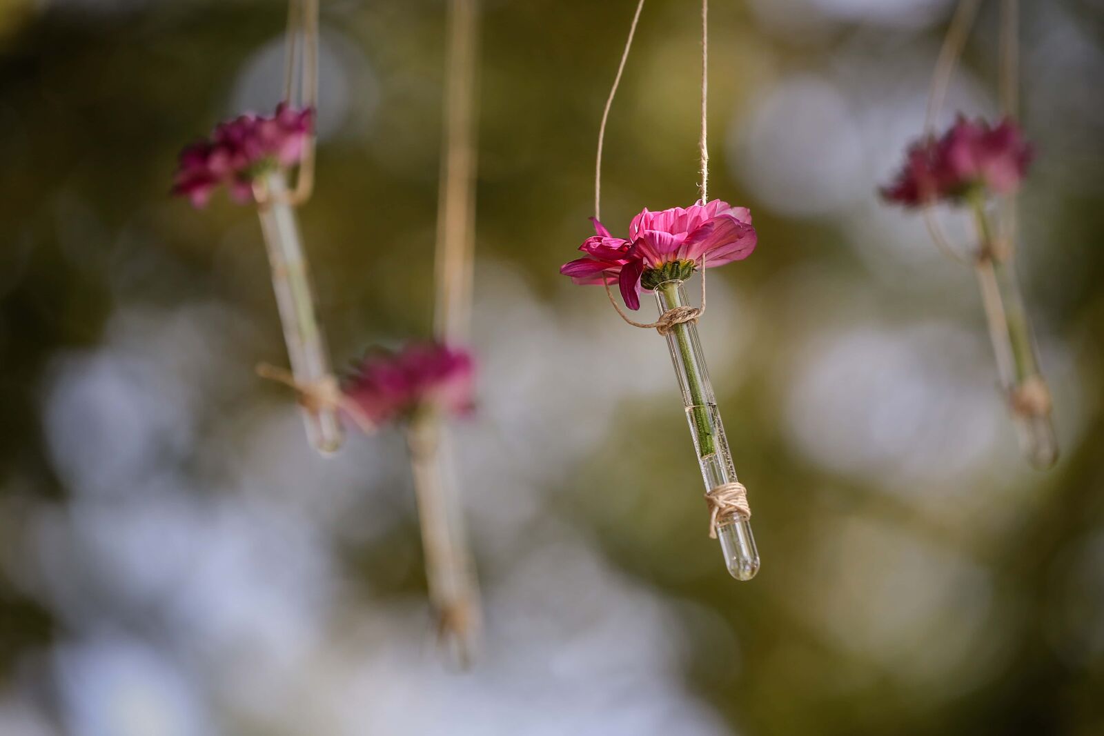 Canon EOS 5D Mark III sample photo. Hanging, flowers, rope, still photography