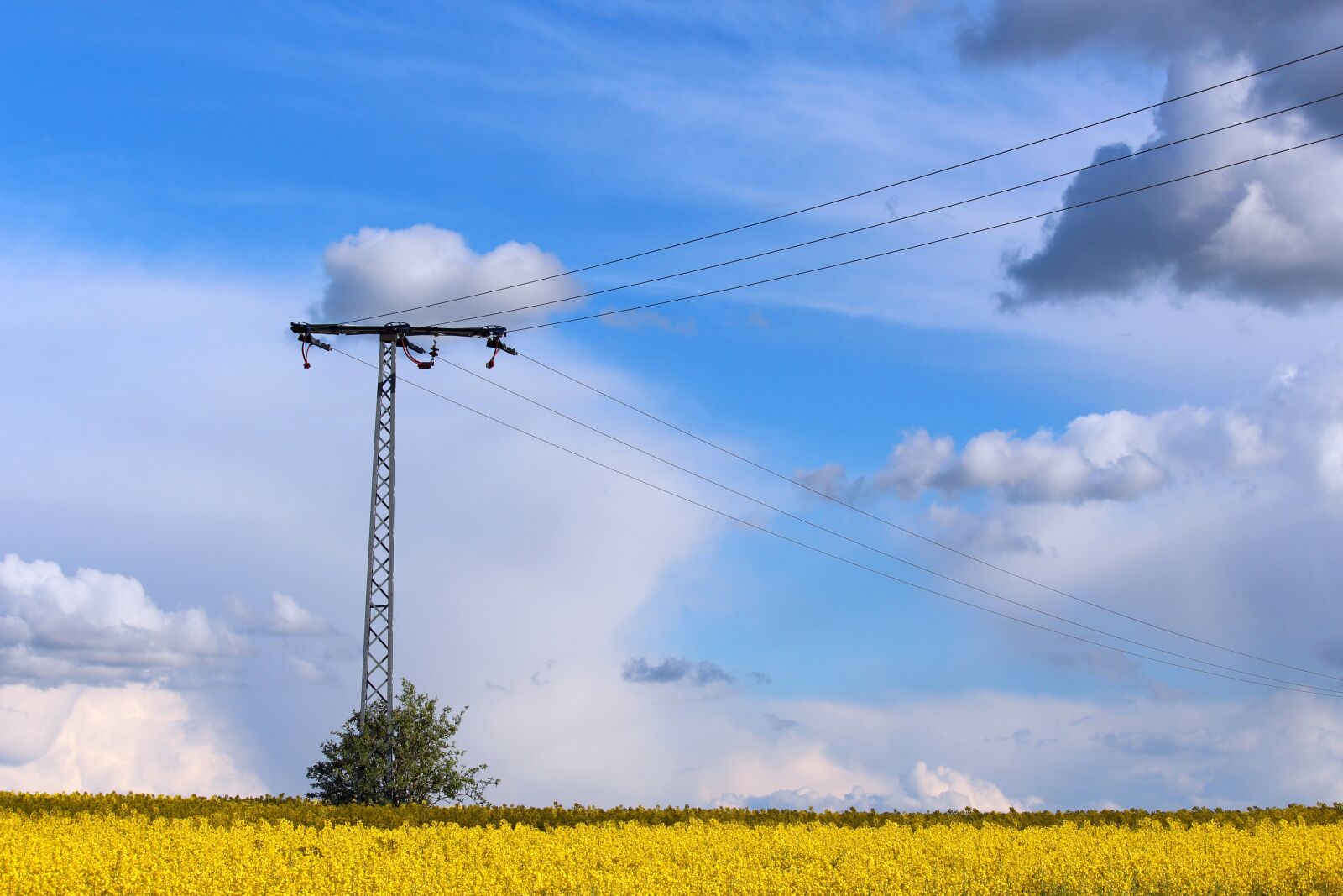 Canon EF-S 55-250mm F4-5.6 IS STM sample photo. Mecklenburg western pomerania, field photography
