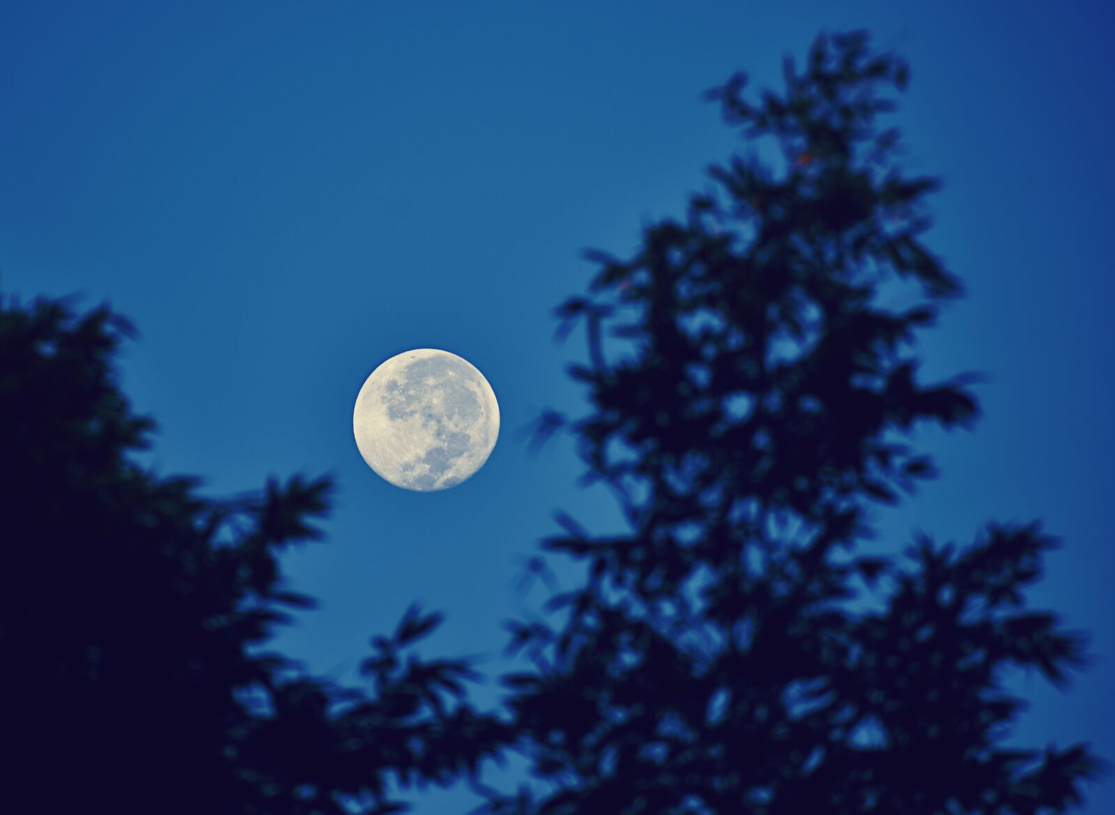 Nikon D3400 sample photo. Moon, night, sky photography