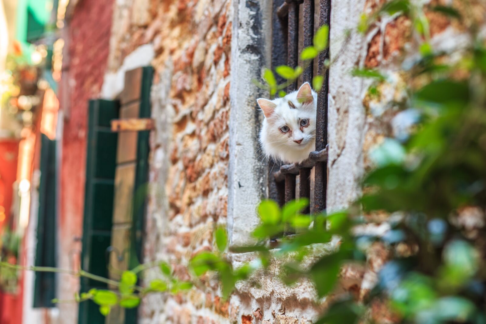 Canon EF 85mm F1.8 USM sample photo