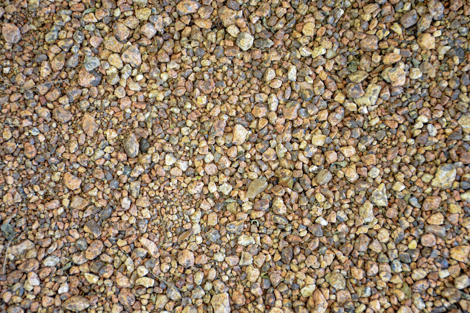 Nikon D7500 sample photo. Stone, texture, soil photography