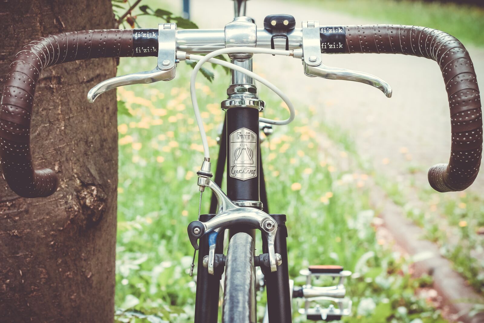Canon EOS 650D (EOS Rebel T4i / EOS Kiss X6i) + Canon EF 50mm F1.8 II sample photo. Bicycle, bicycle frame, bike photography