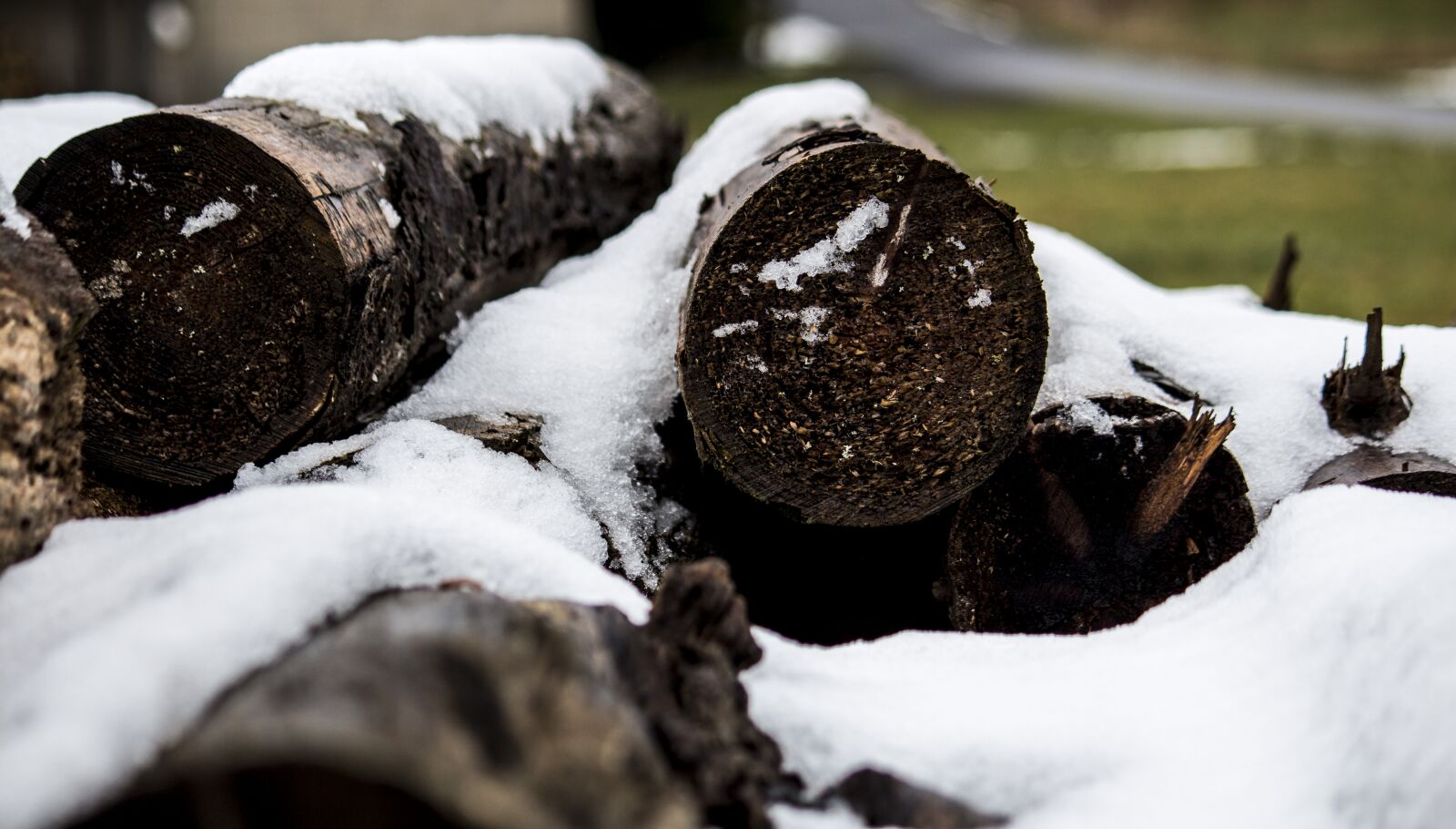 Canon EF-S 55-250mm F4-5.6 IS sample photo. Winter, snow, nature photography