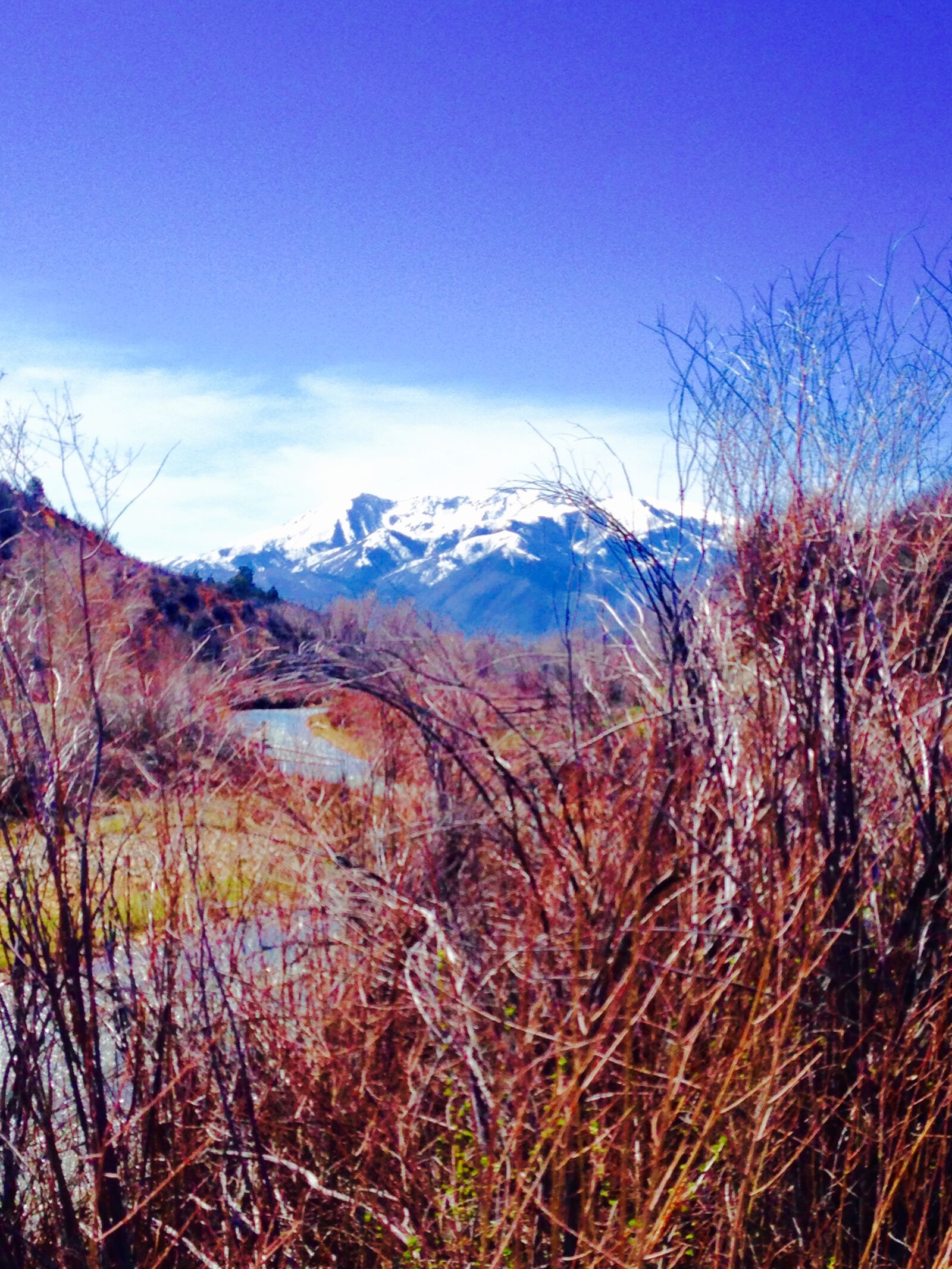 Apple iPhone 5 sample photo. Brush, mountains, outdoors, utah photography