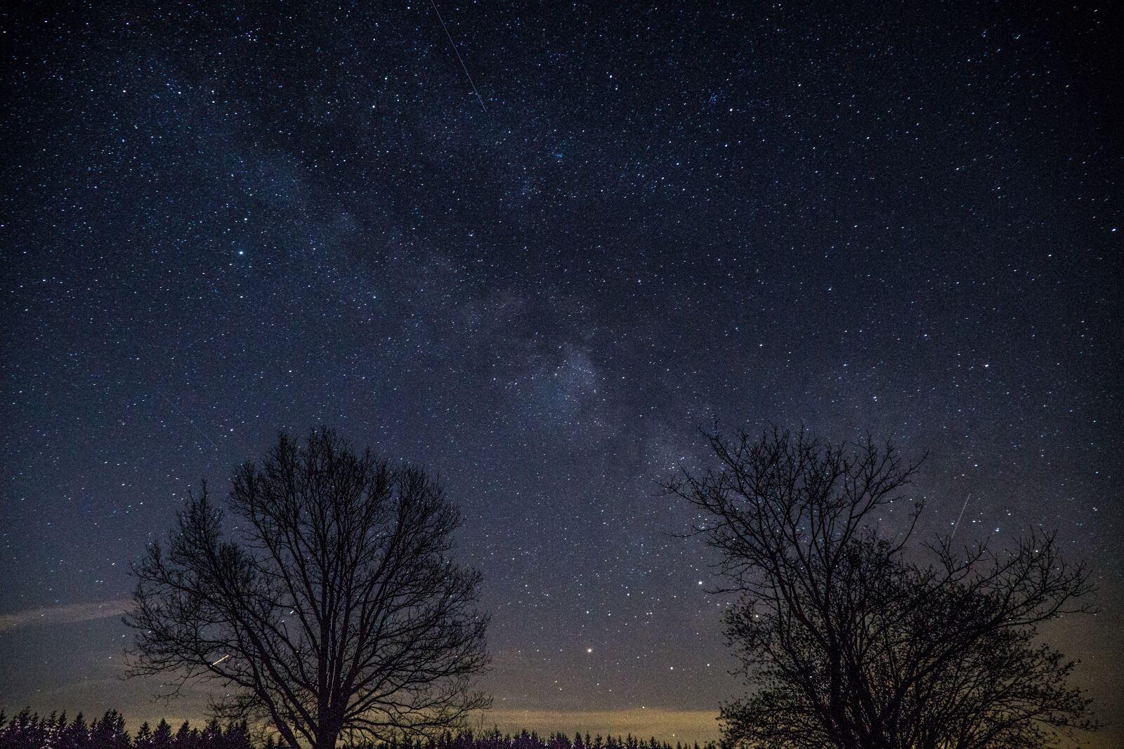 Sony a6000 + Sony E PZ 18-105mm F4 G OSS sample photo. Tree, landscape, sky photography