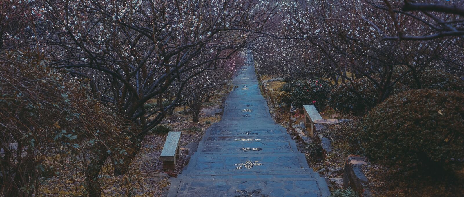 Nikon D7100 sample photo. China wind, suzhou, fragrant photography