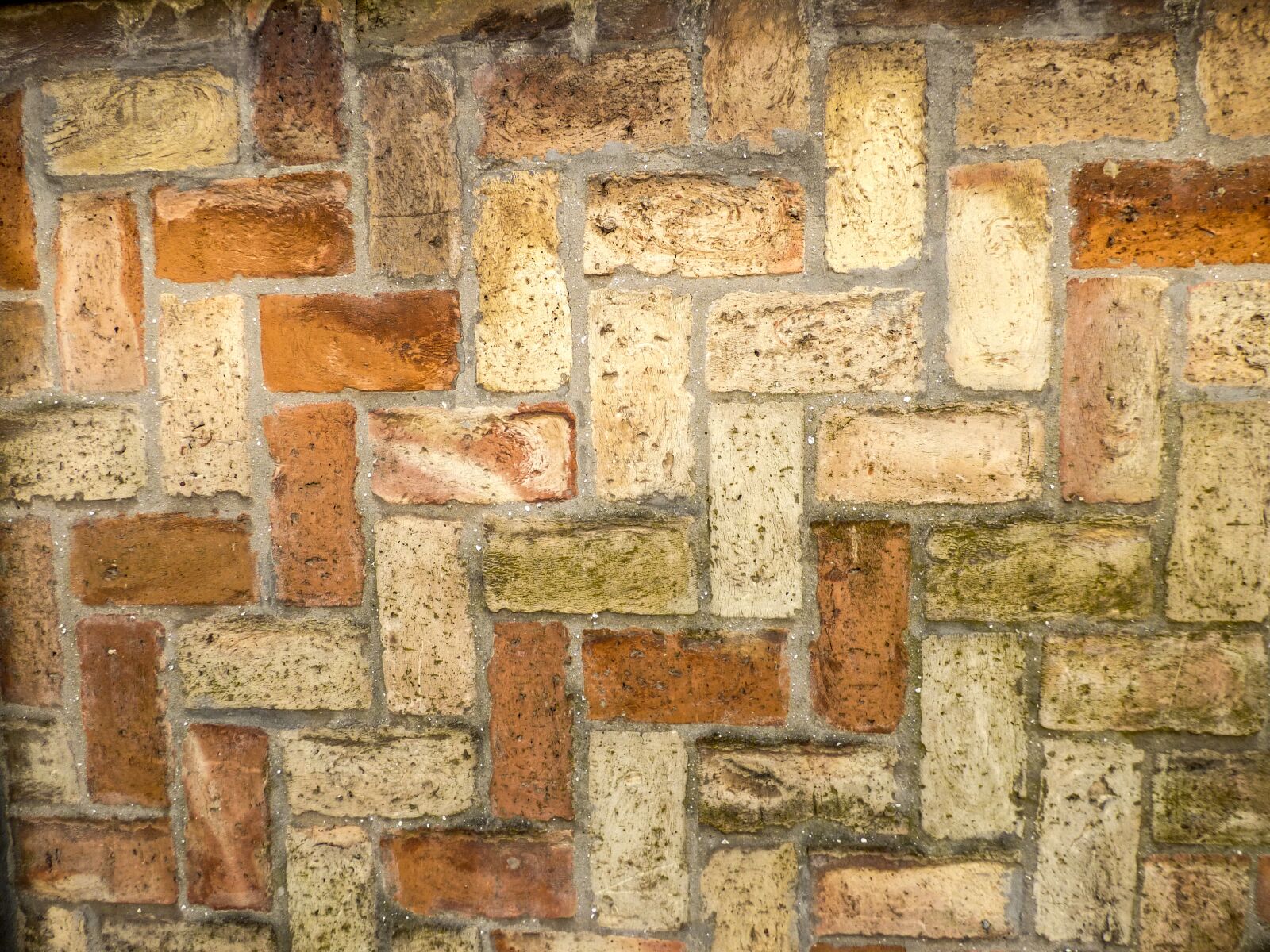Panasonic DMC-FZ72 sample photo. Background, brick wall, wall photography