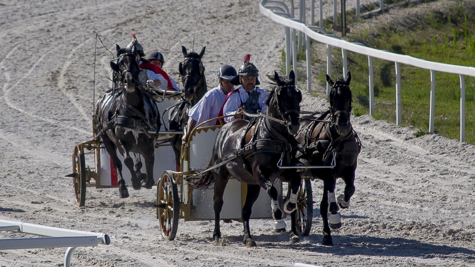 Nikon D3100 sample photo. Combat, gallop, costume photography