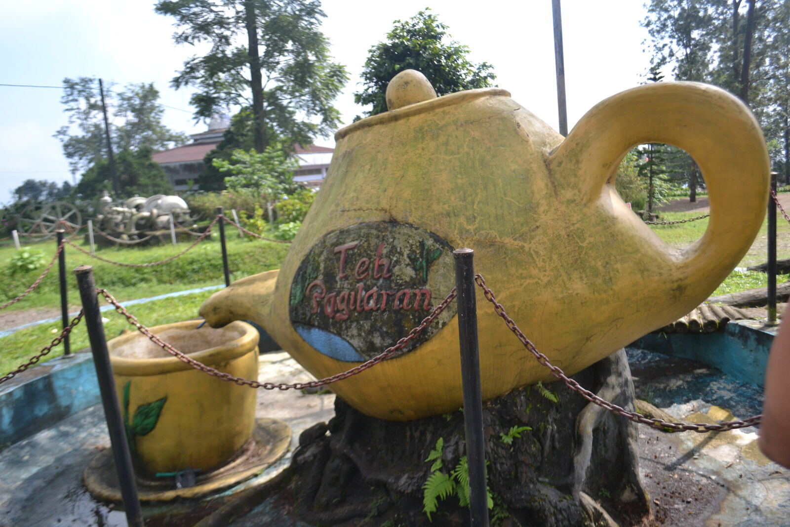 Nikon D3100 sample photo