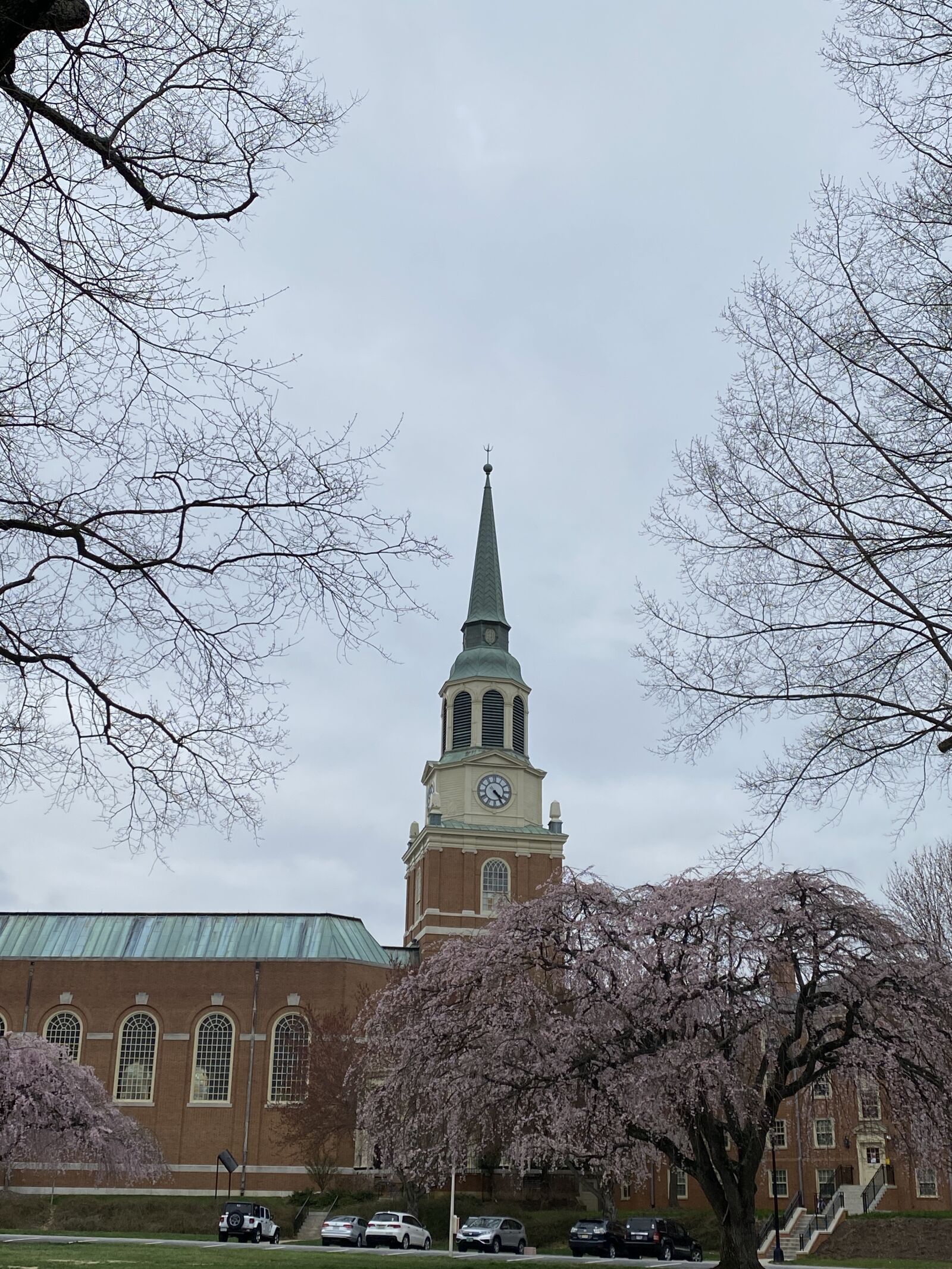 Apple iPhone 11 Pro Max sample photo. Wake forest university, wake photography