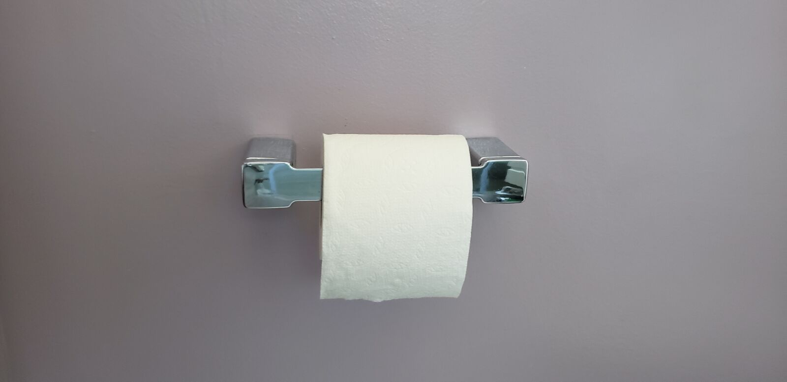 Samsung Galaxy S9+ sample photo. Toilet paper, roll, toilet photography