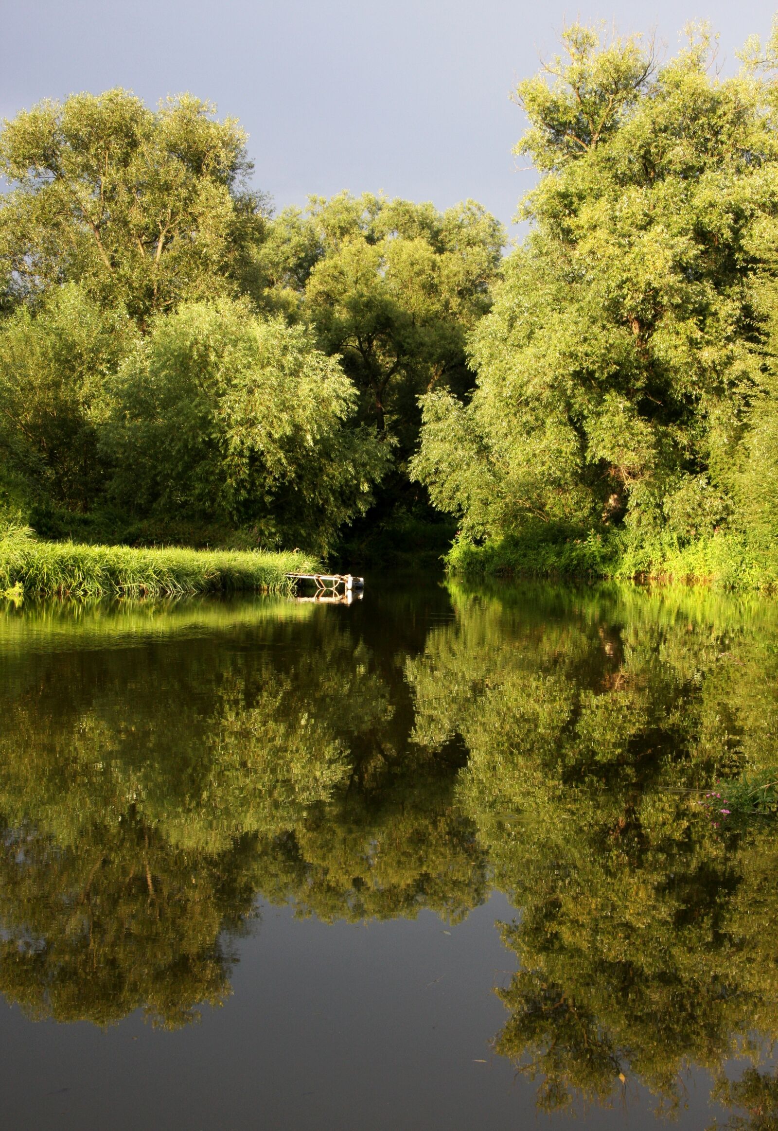 Canon EOS 40D sample photo. Surface, reflection, water-level photography