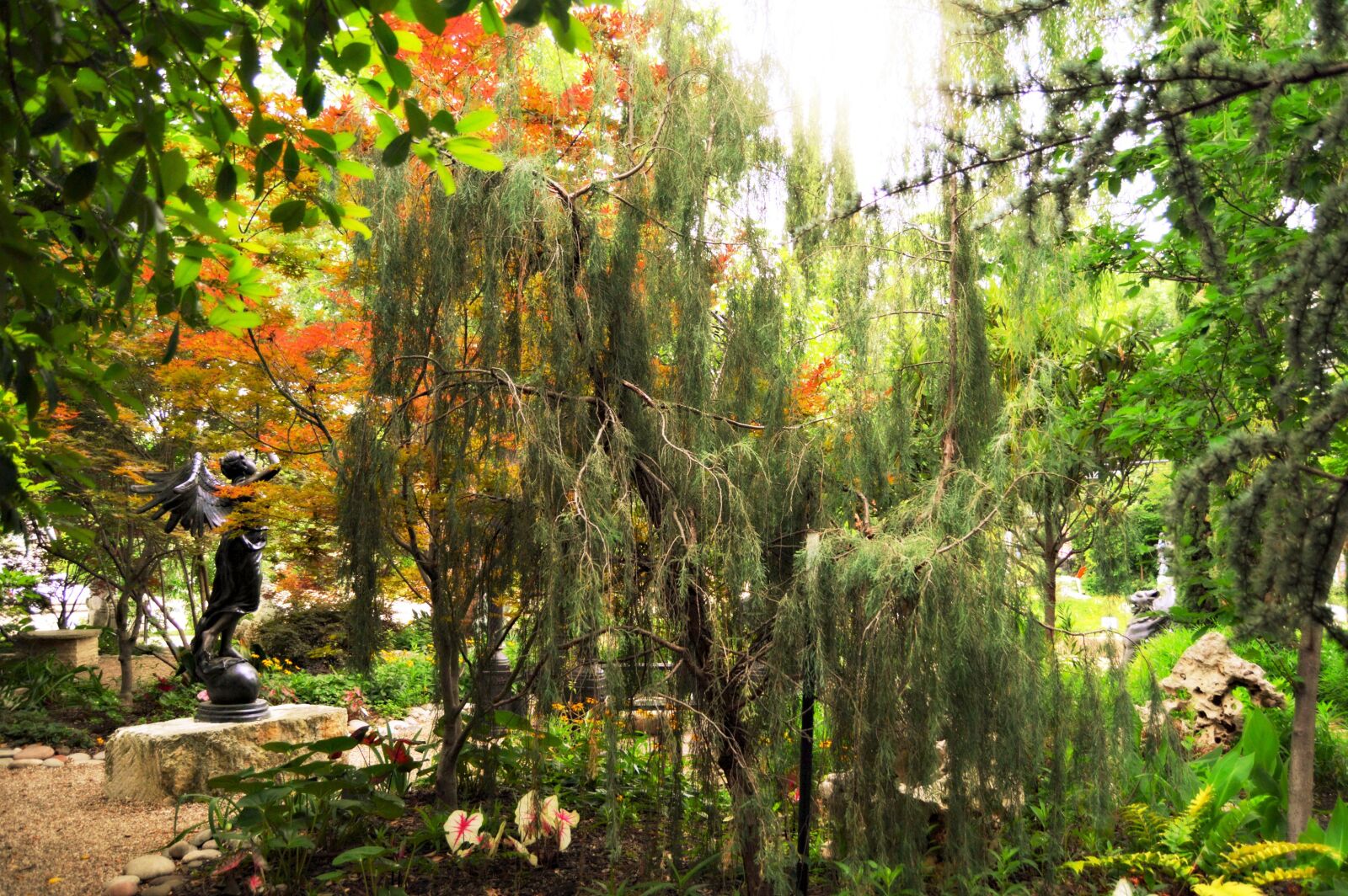 Nikon D3200 sample photo. Tree, fantasy, forest photography