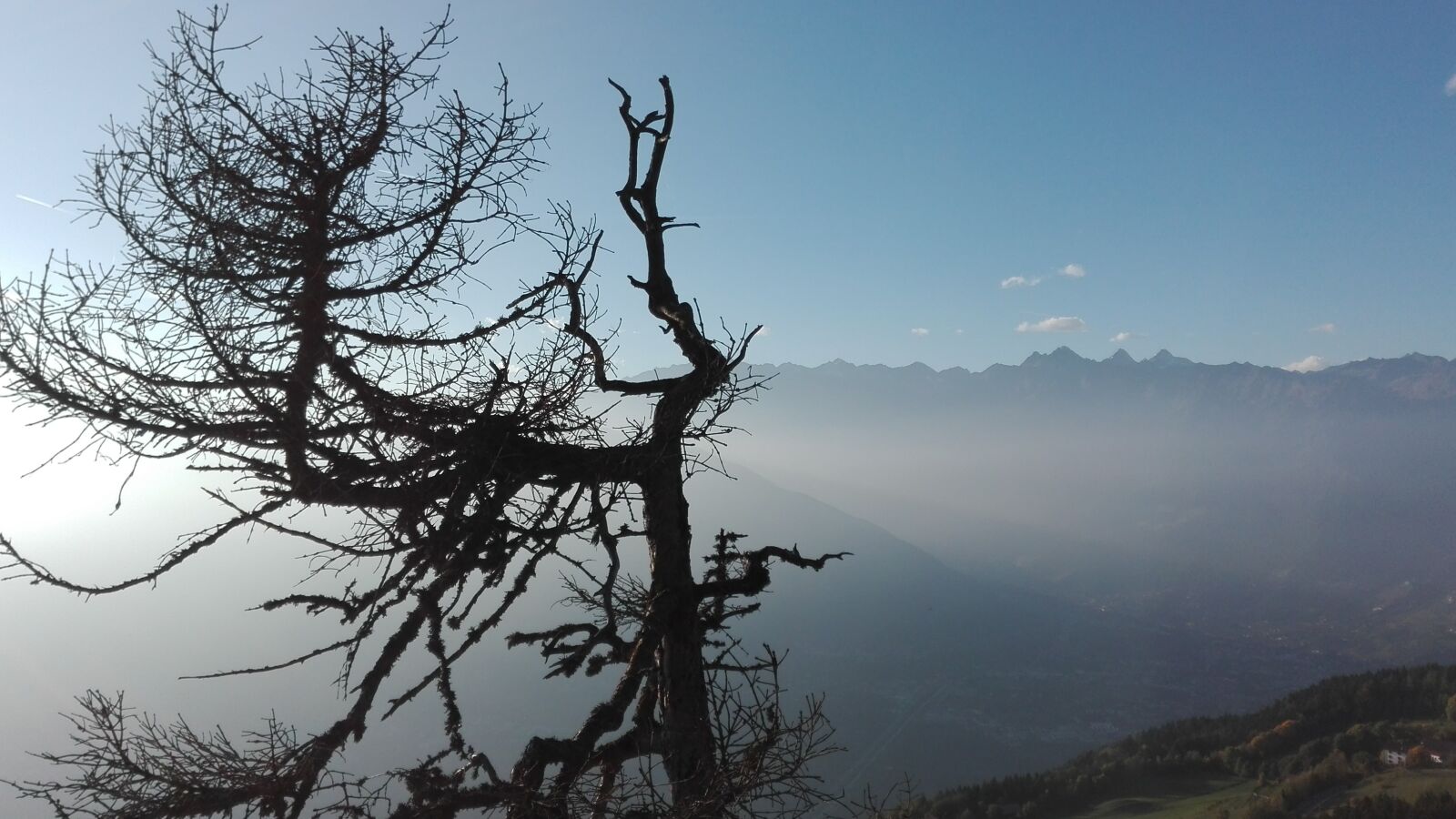 HUAWEI P8 Lite sample photo. Nature, sky, tree photography
