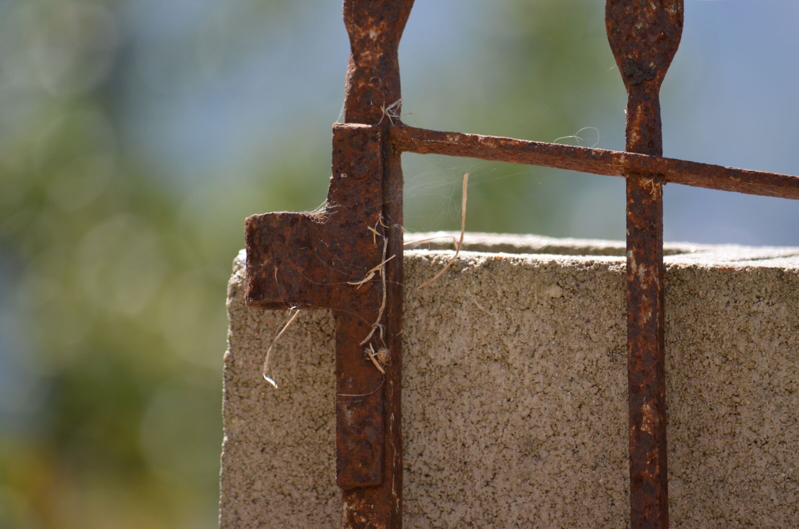 Nikon D5100 sample photo. Oxide, fence, time photography