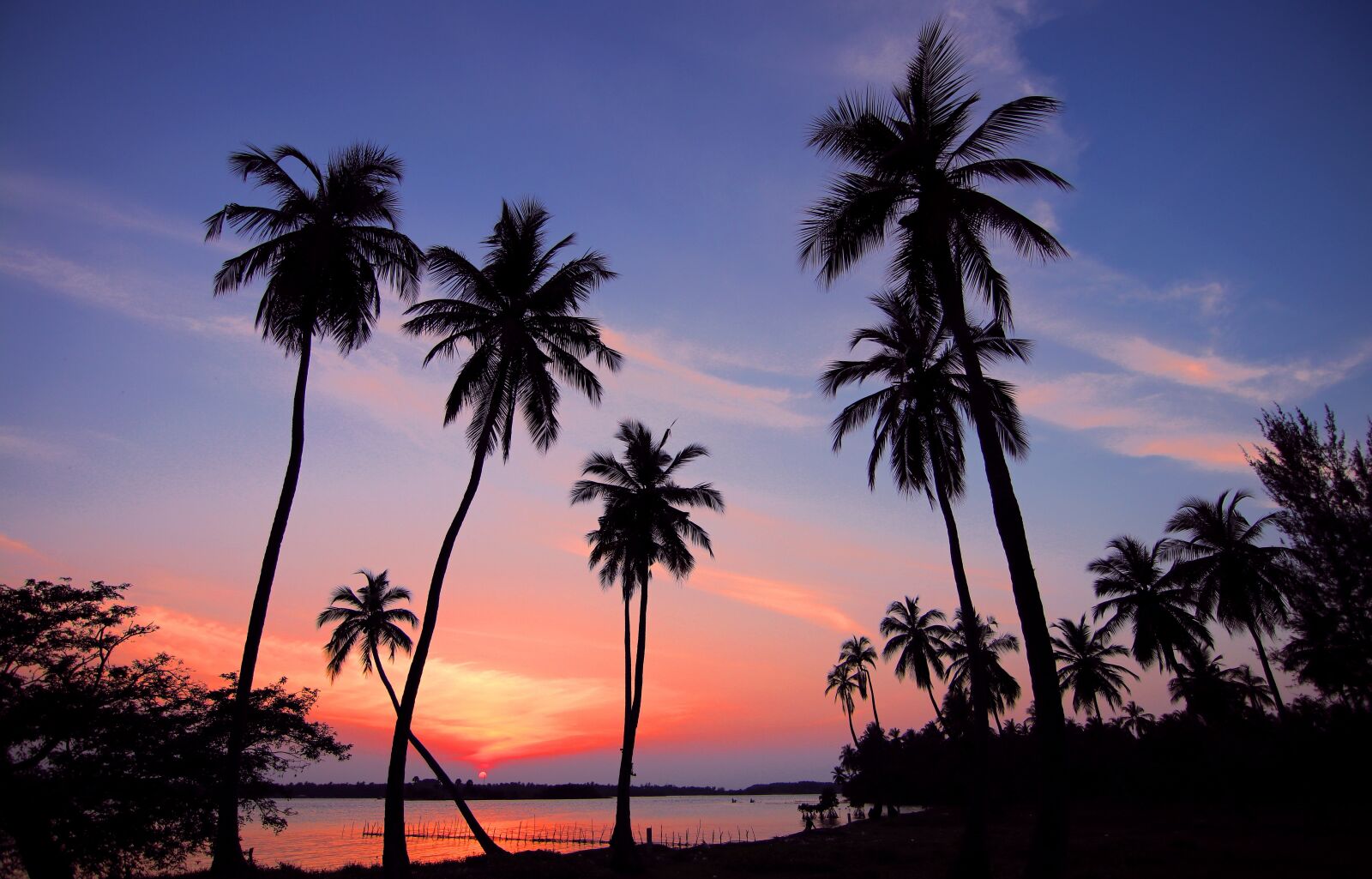 Canon EOS 80D sample photo. Sri lanka, sunset, palm photography
