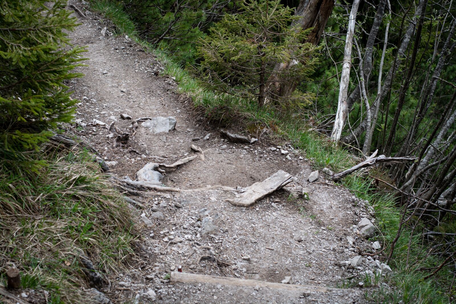 Nikon D7100 sample photo. Away, forest path, path photography