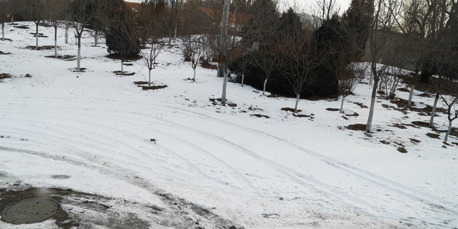 HUAWEI CLT-L29 sample photo. Snow, winter, nature photography